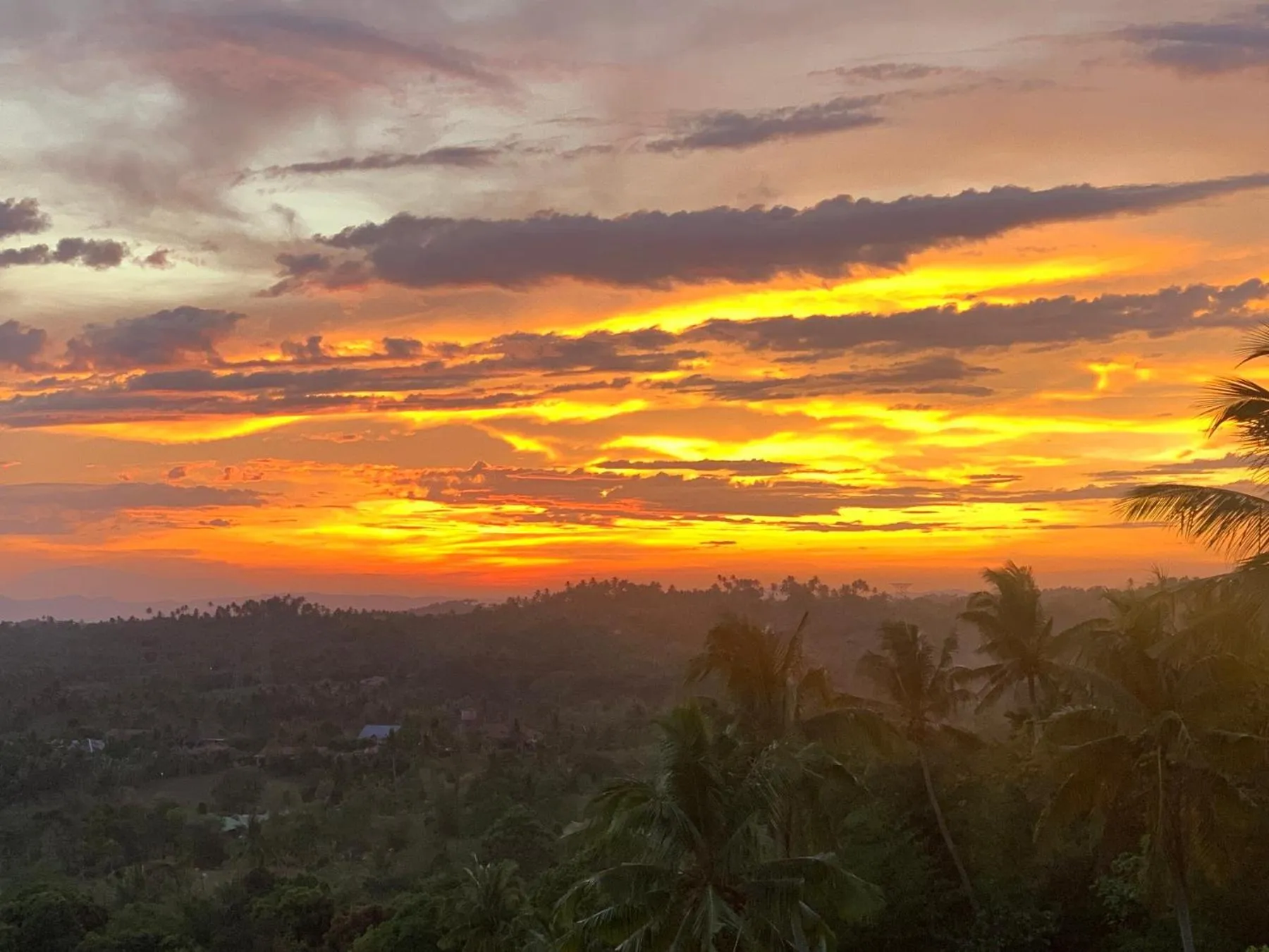 Shanti Wellness Sanctuary