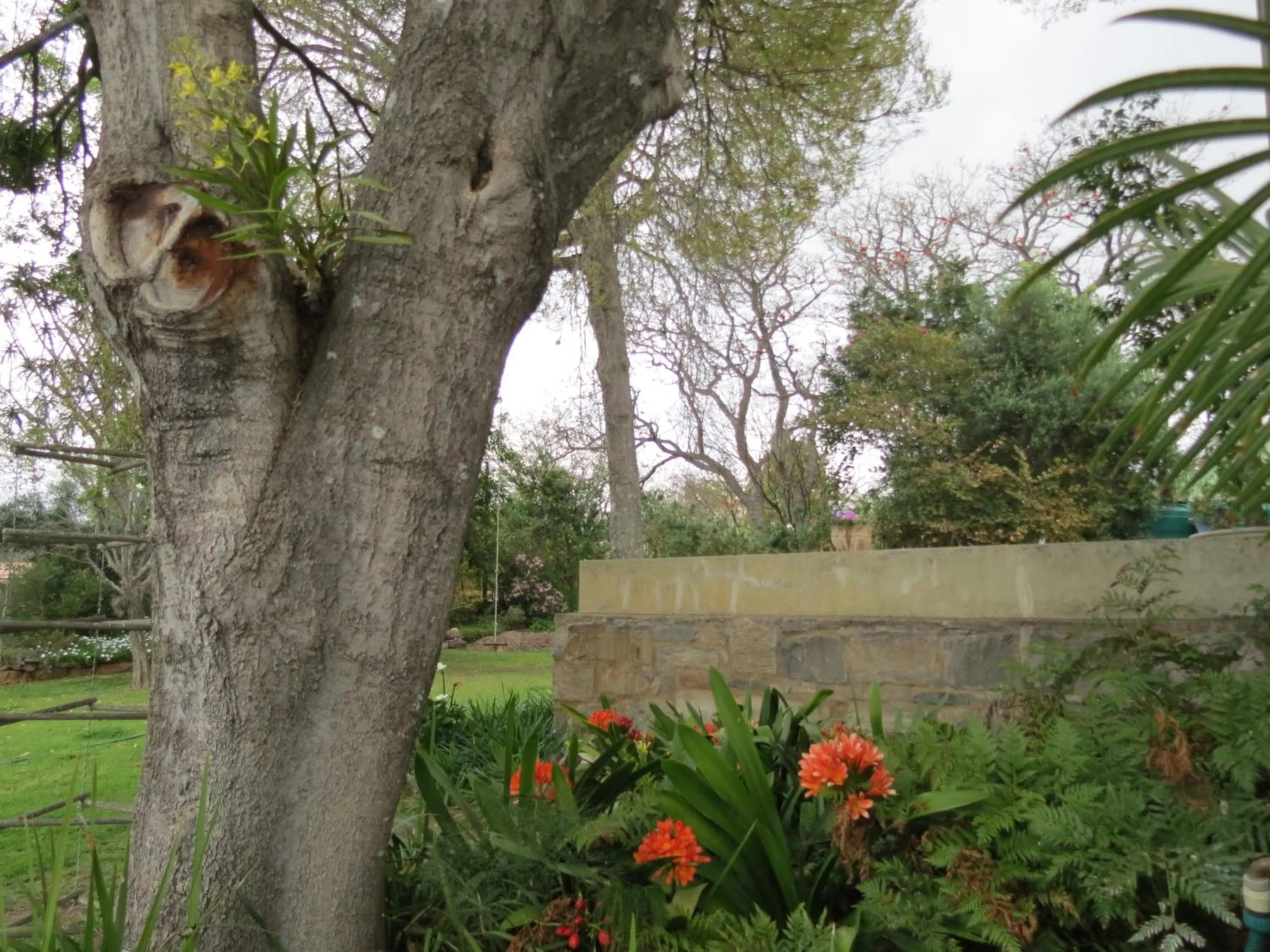 Garden in AppleBee Guest Cottages
