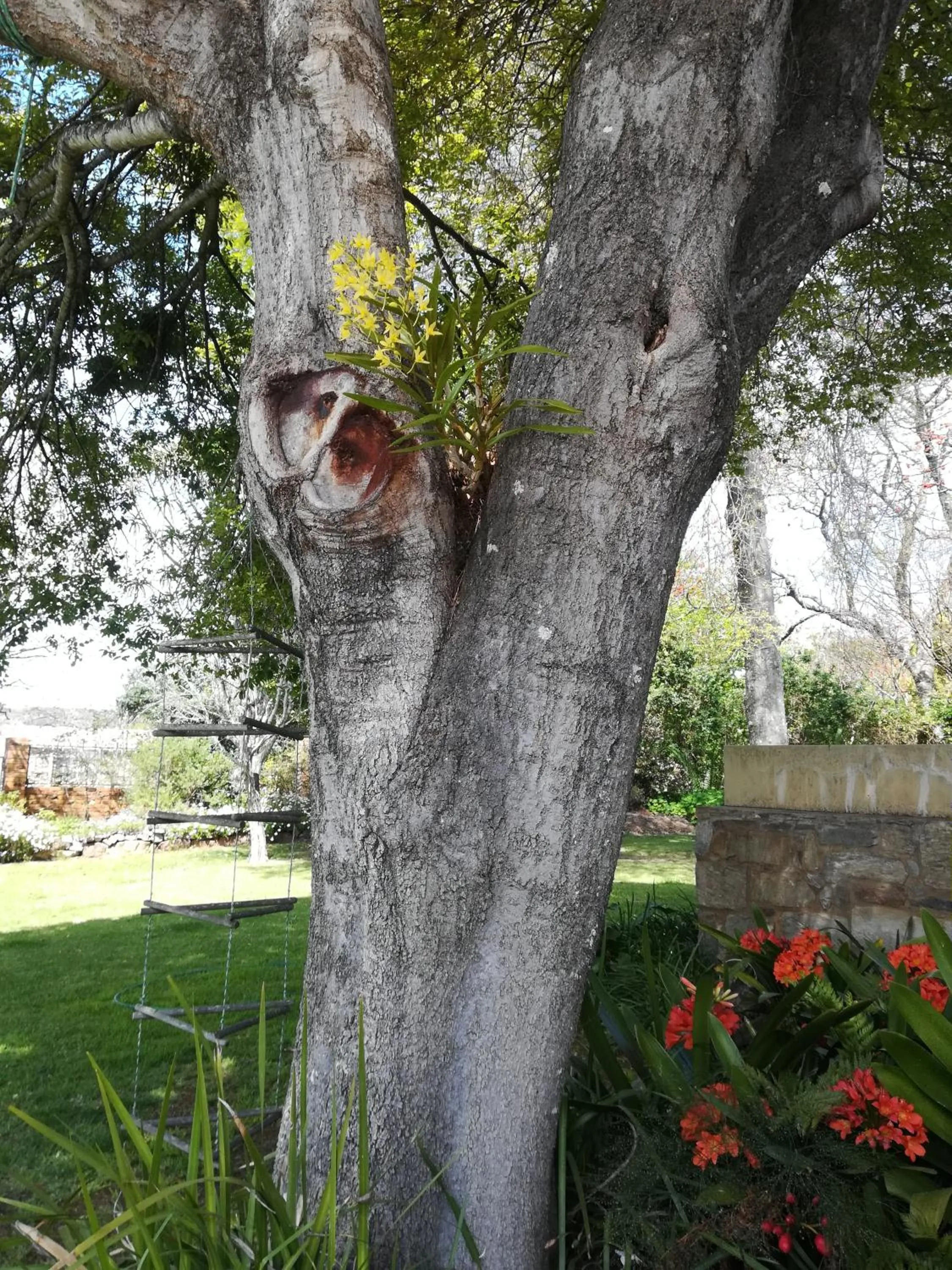 Garden in AppleBee Guest Cottages