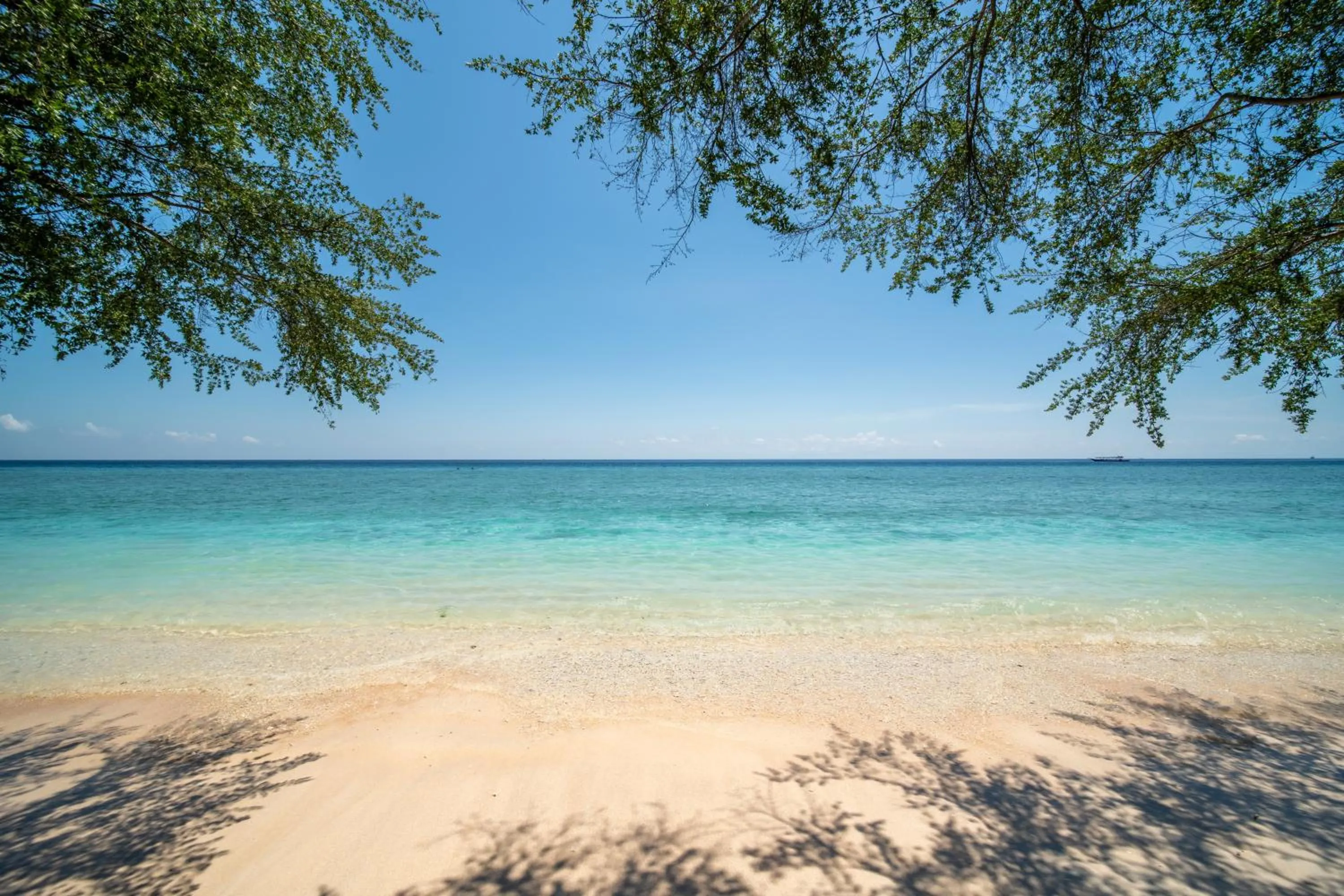 Beach in Wilson's Retreat