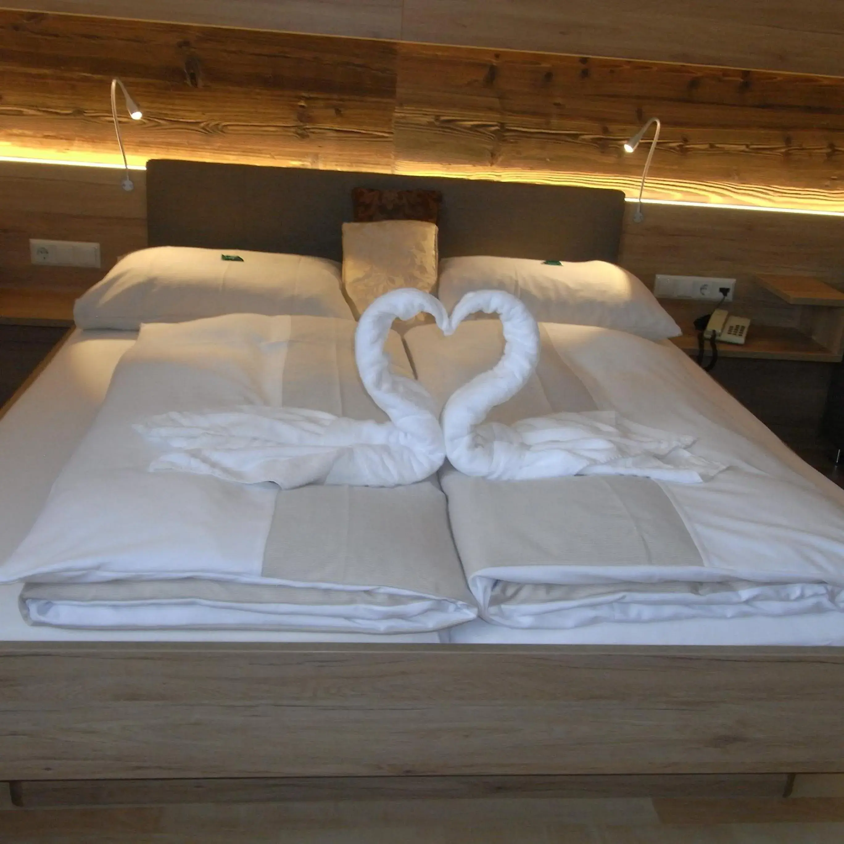 Double Room in Hotel Turracherhof Double Room in Hotel Turracherhof