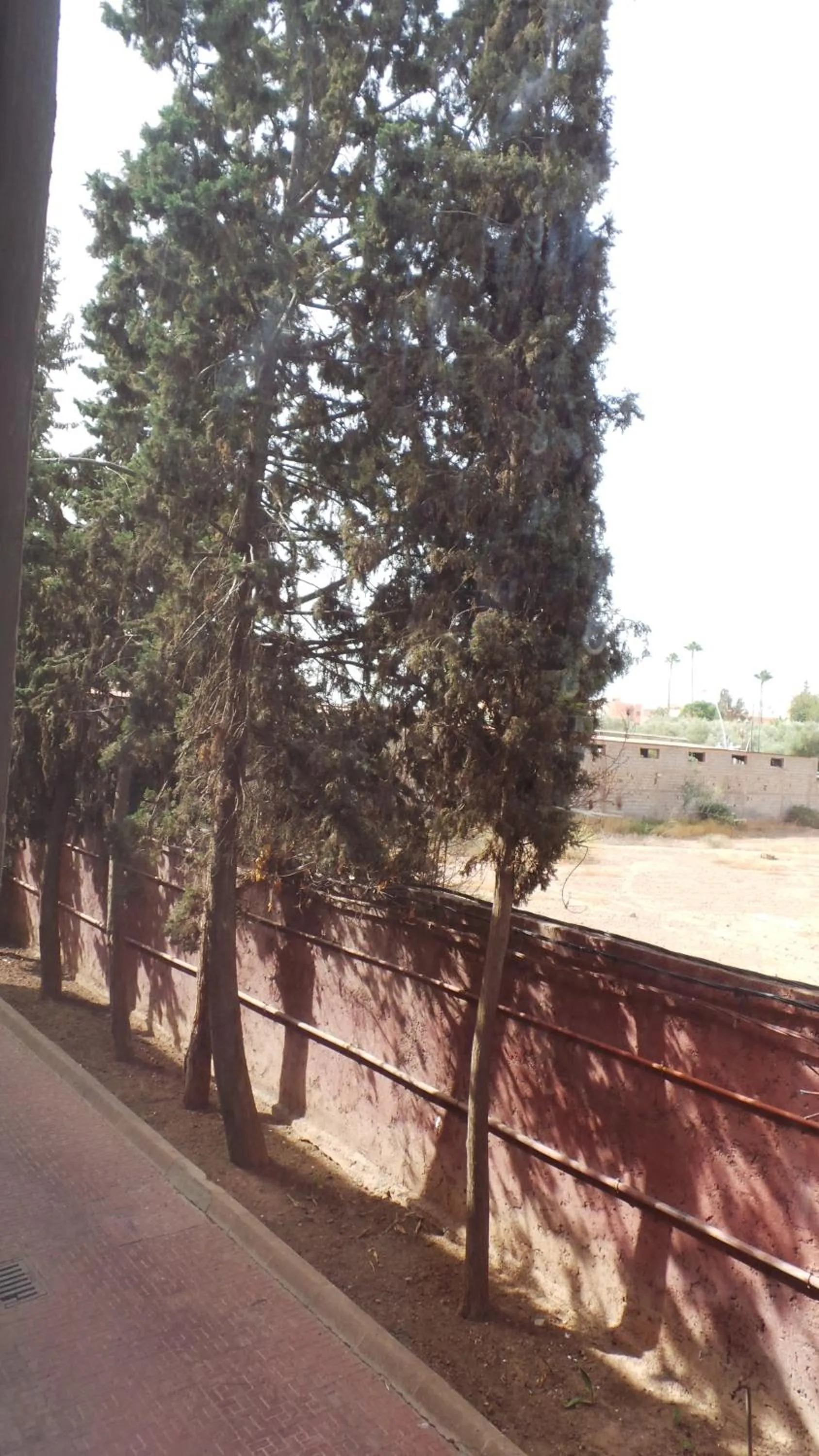 Parking in Targafit Hotel & Hammam