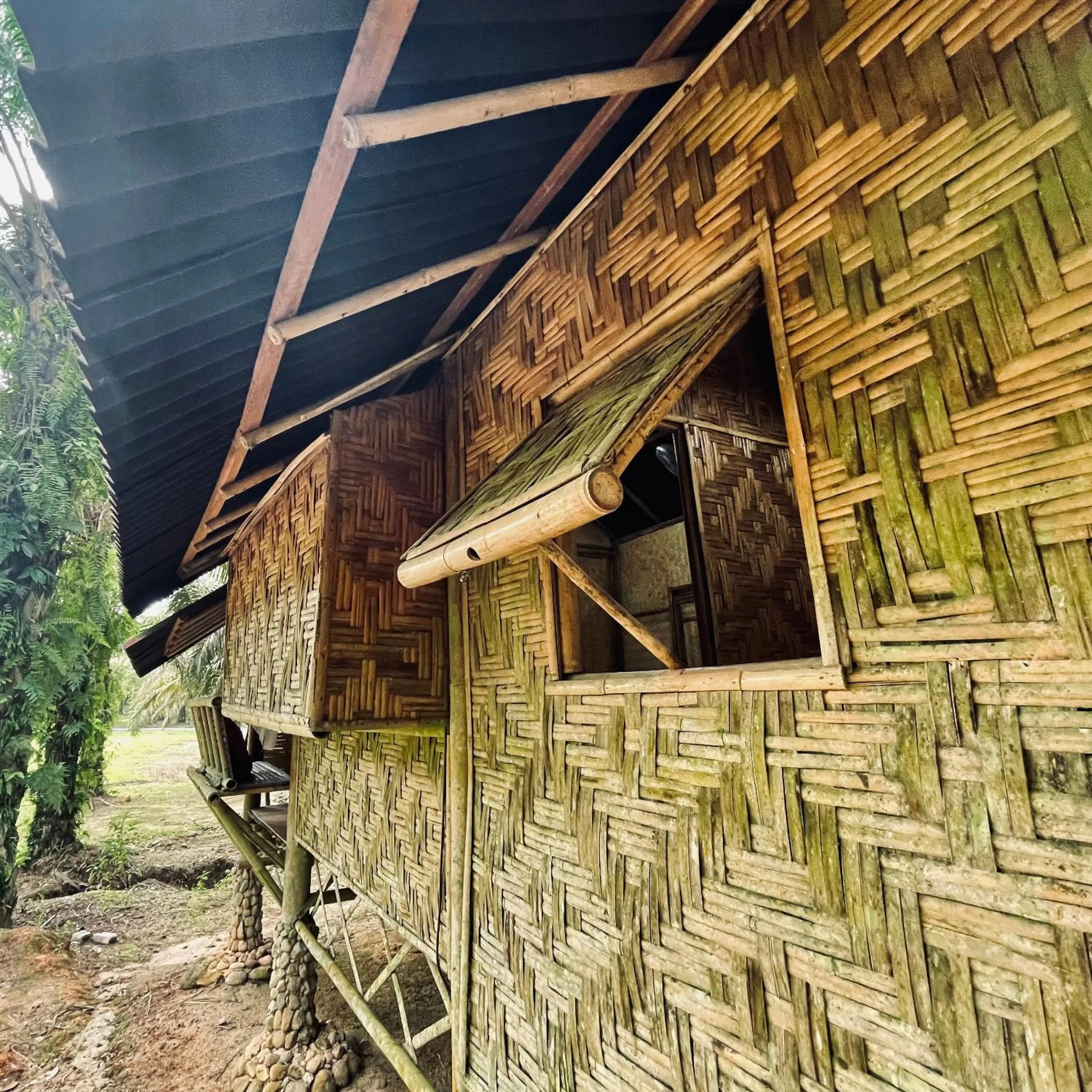 Property building in Sahom Valley Resort - Agro & Eco Park