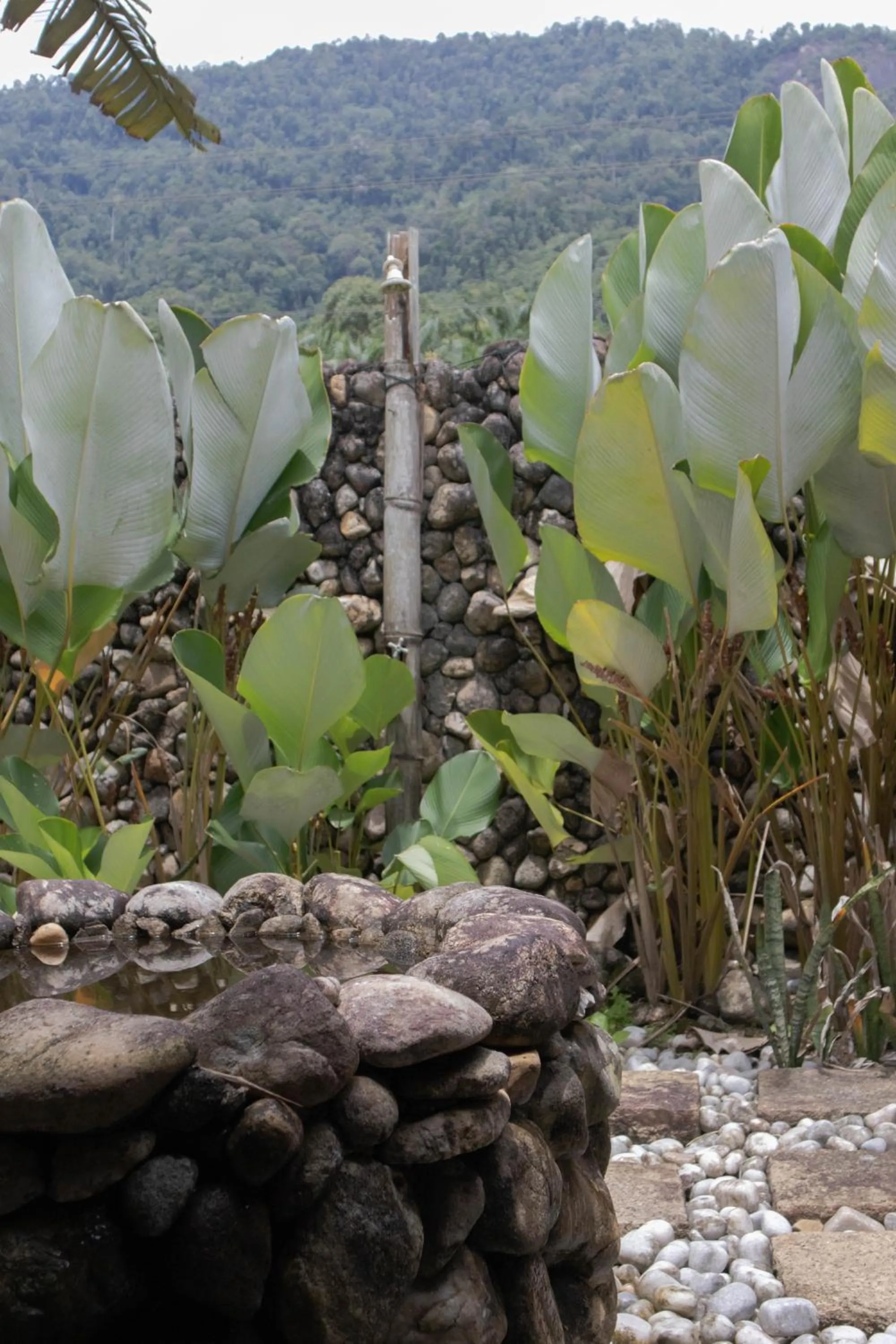 Mountain view in Sahom Valley Resort - Agro & Eco Park