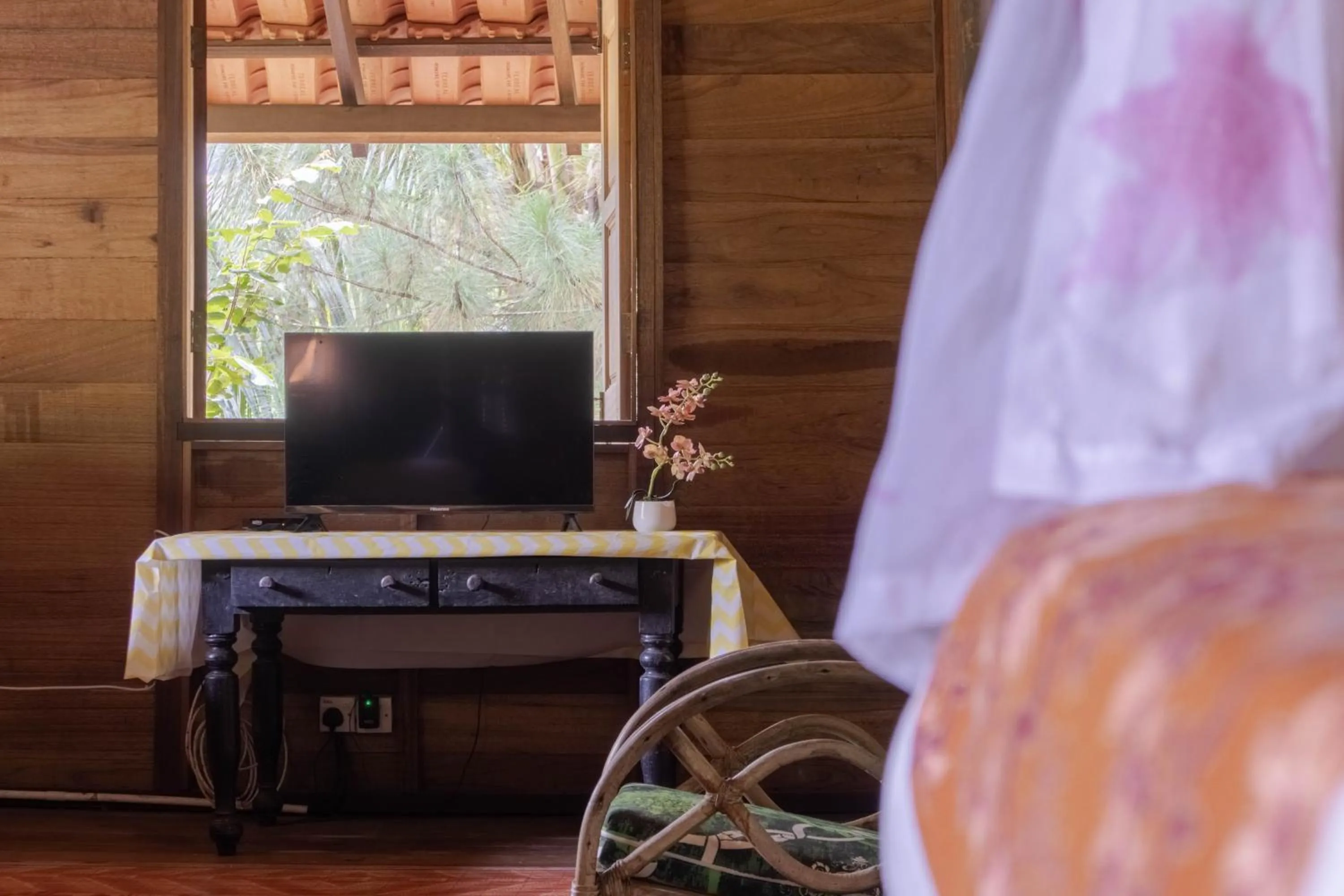 TV and multimedia in Sahom Valley Resort - Agro & Eco Park