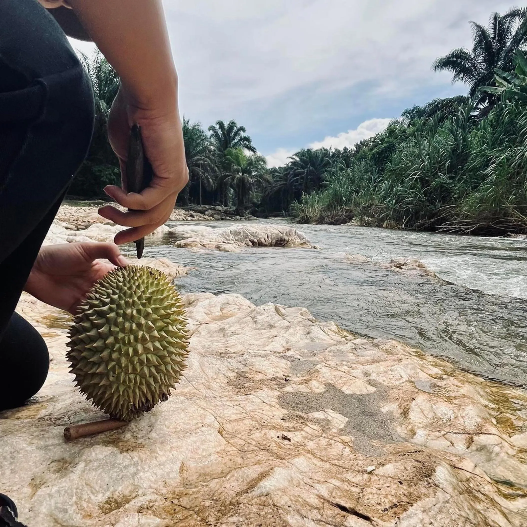 Natural landscape in Sahom Valley Resort - Agro & Eco Park