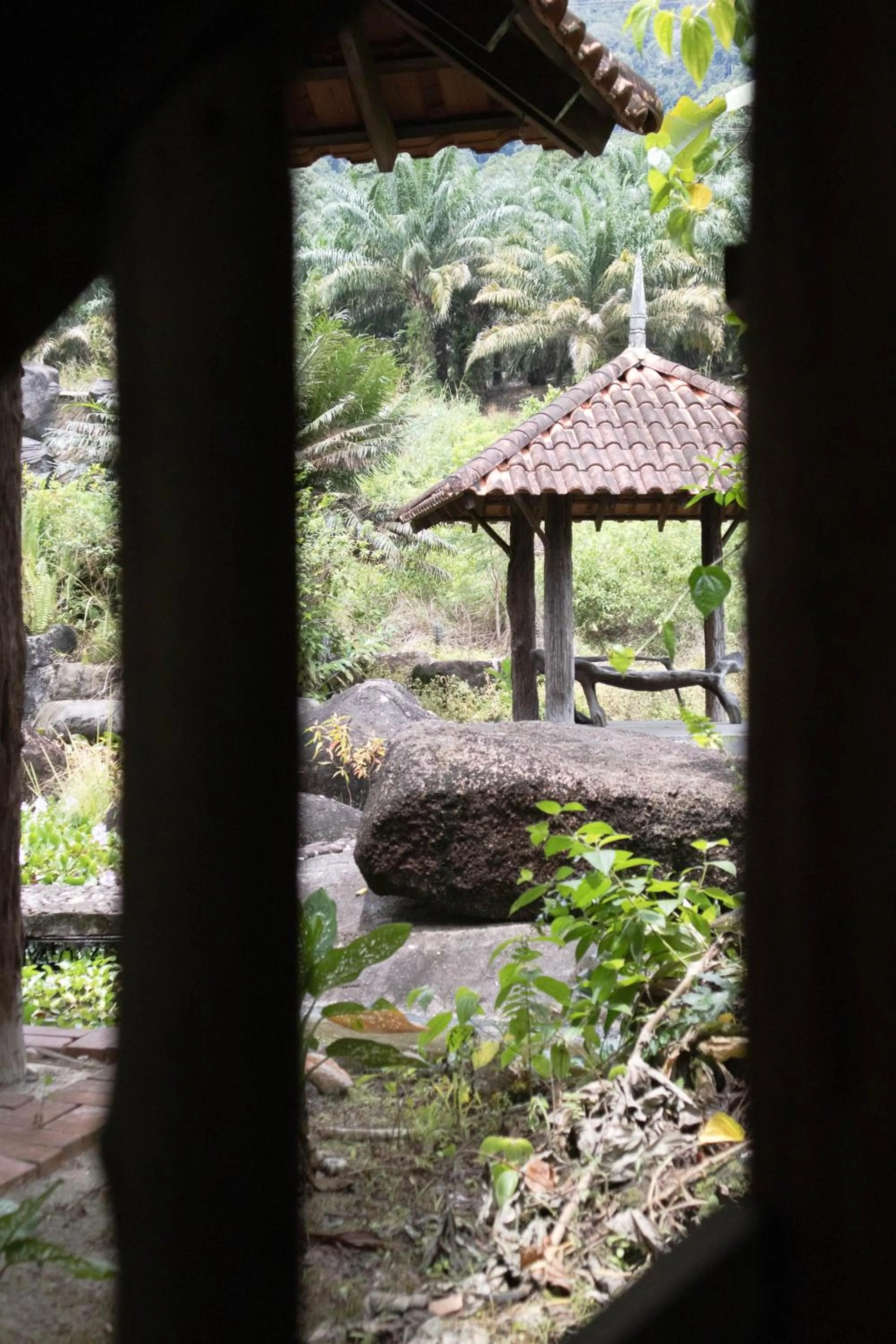 Natural landscape in Sahom Valley Resort - Agro & Eco Park