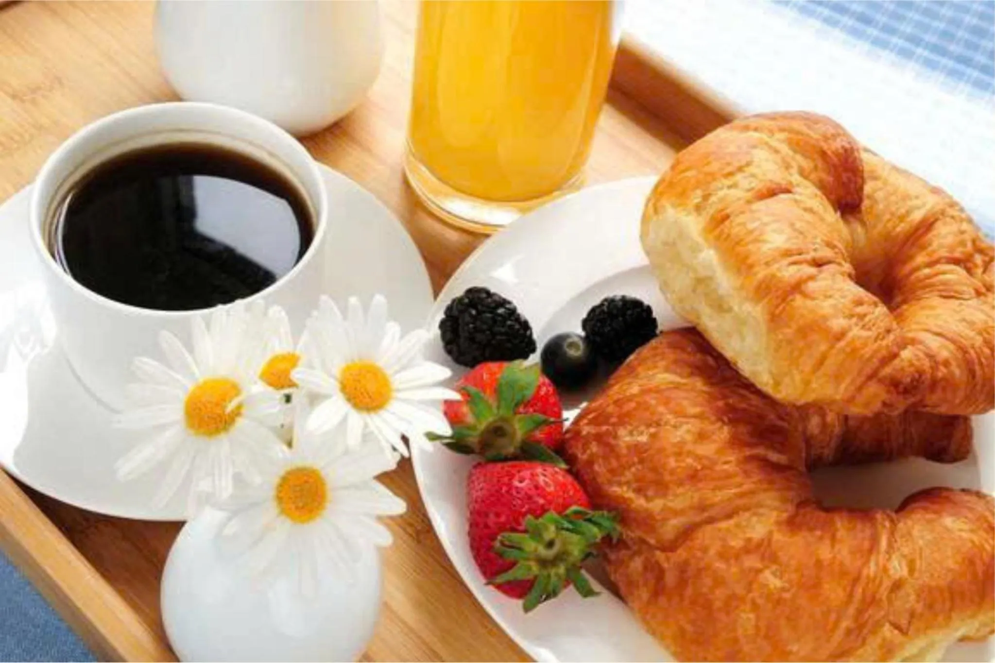 Breakfast in Art Museum Villa Hoi An