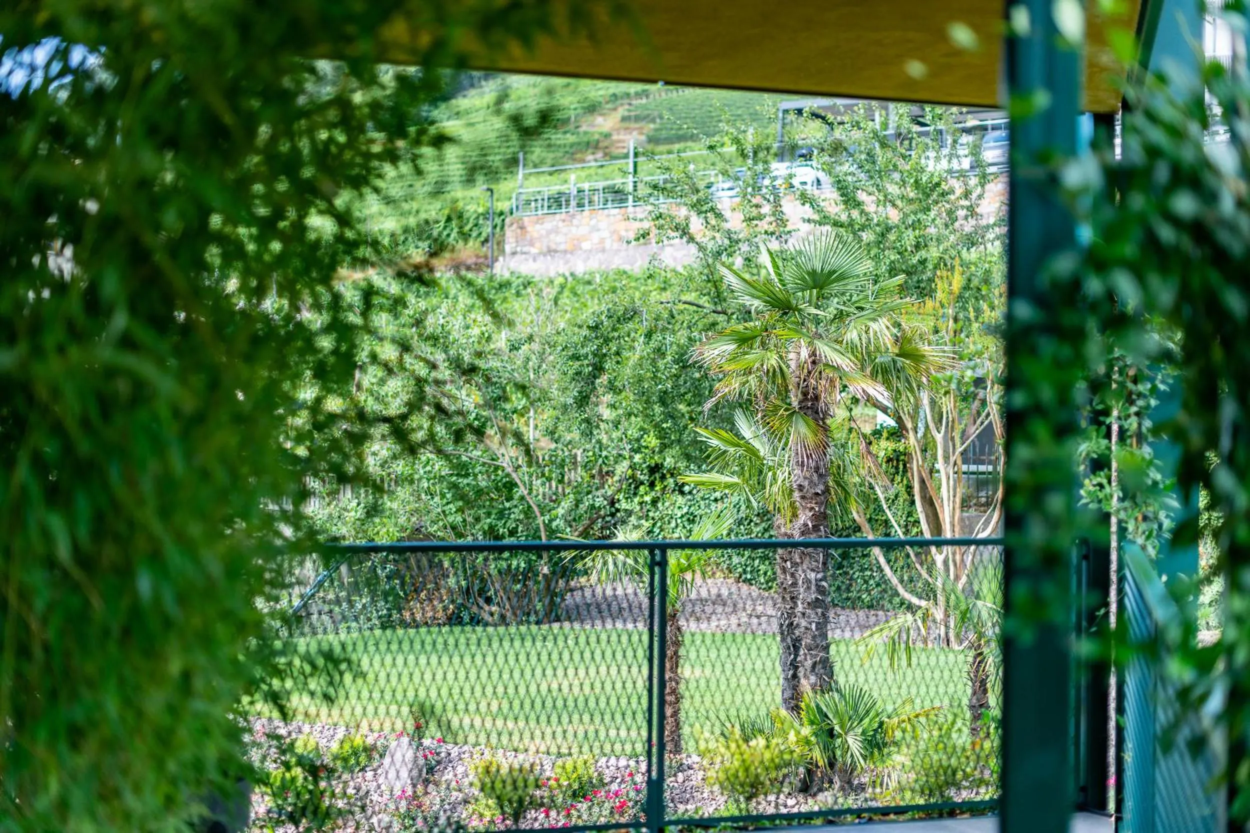 View (from property/room) in VILLA NAJ