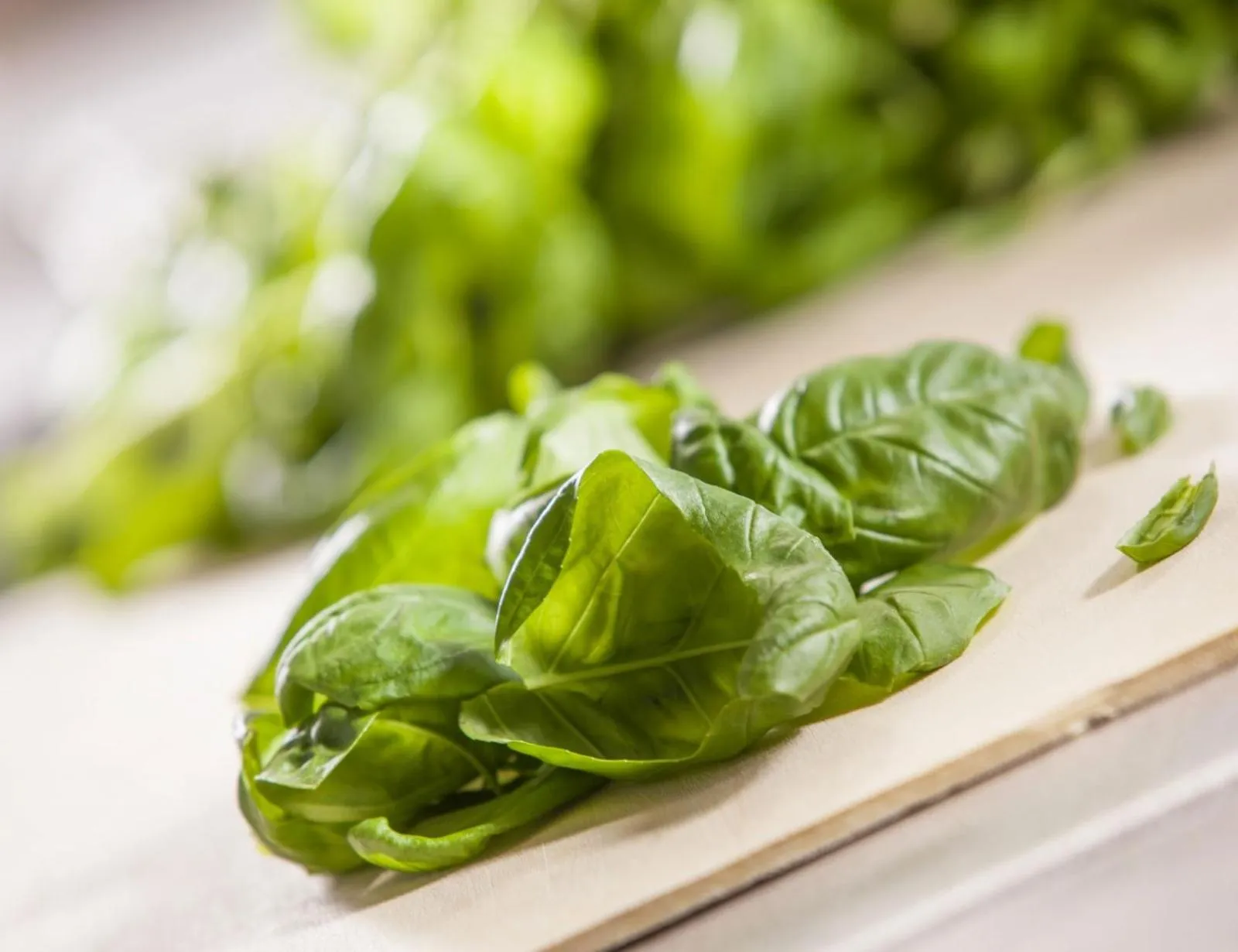 Restaurant/places to eat in VILLA NAJ