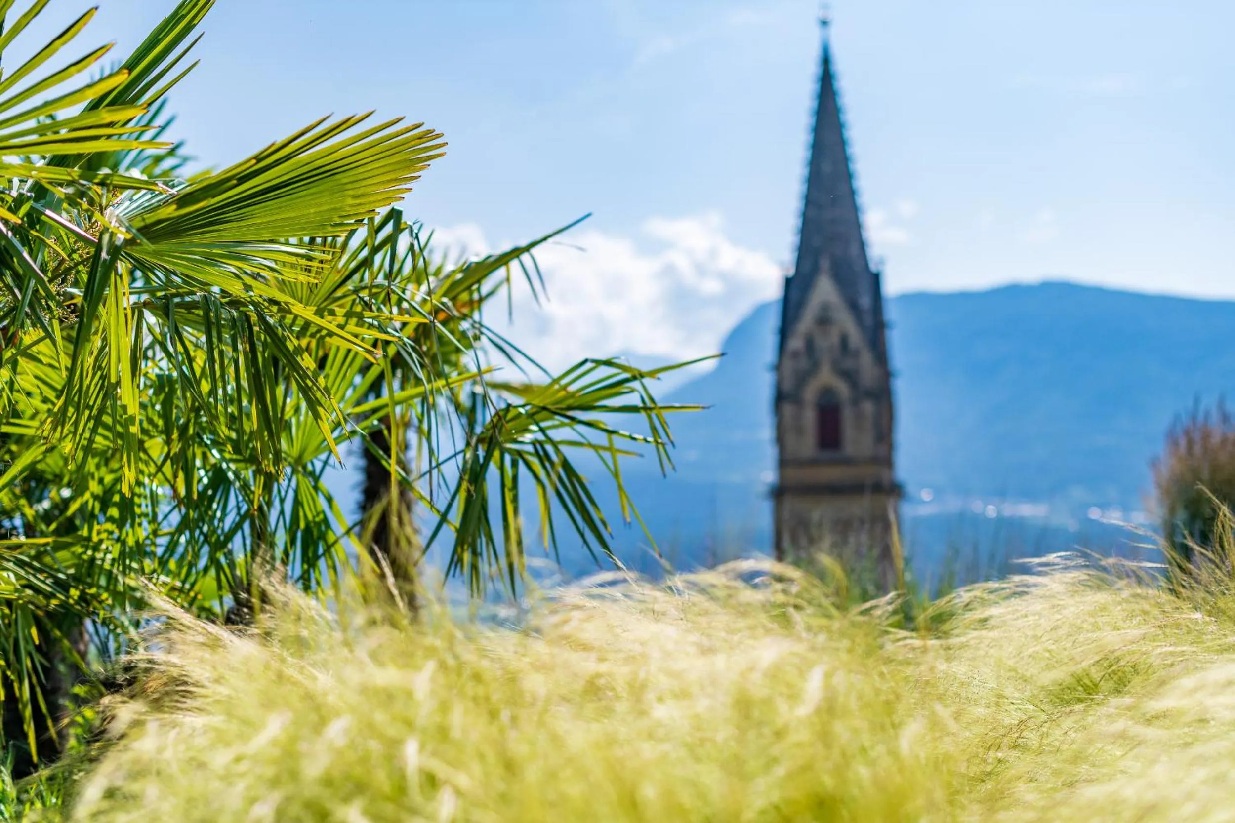 View (from property/room) in VILLA NAJ