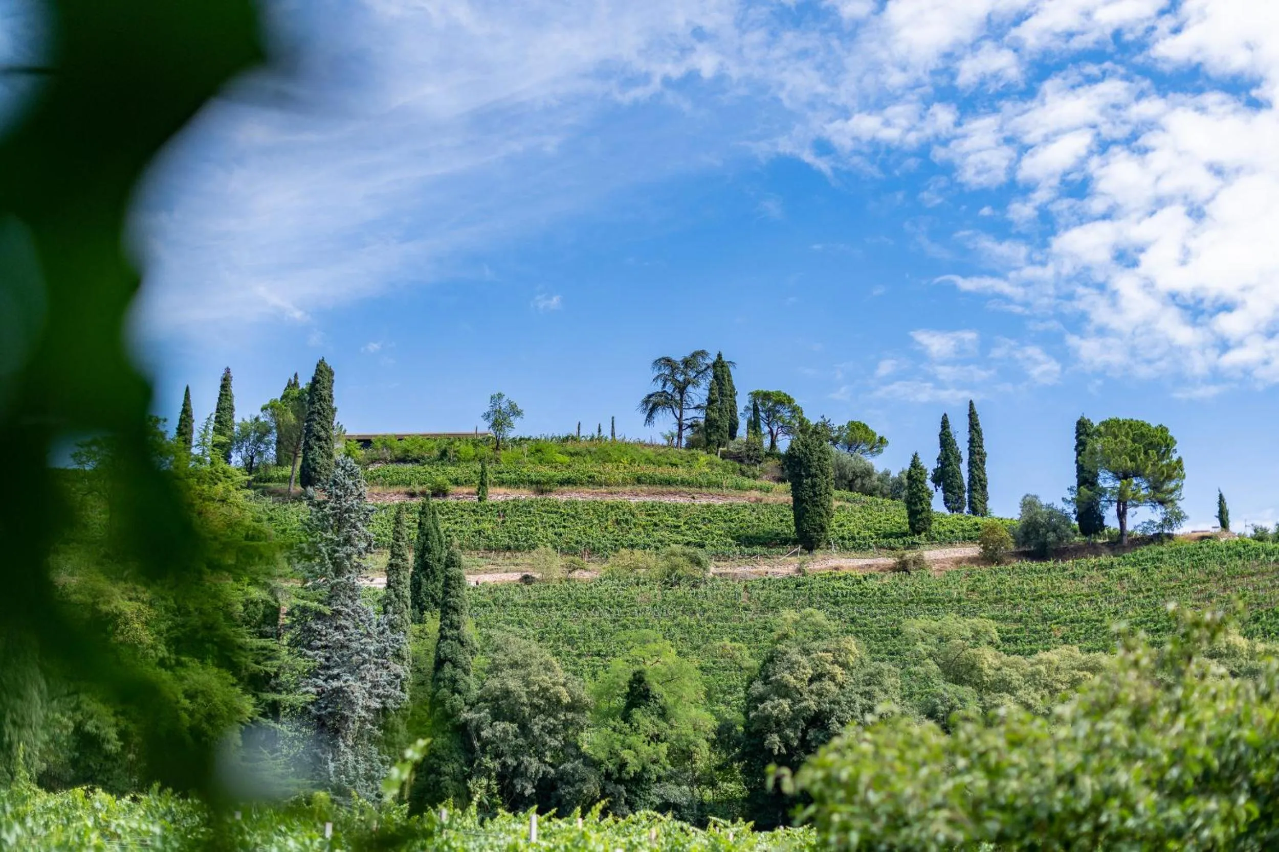 View (from property/room) in VILLA NAJ