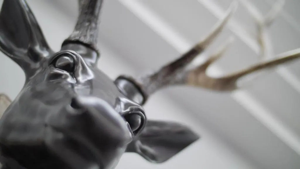 Decorative detail in Mango the Hotel