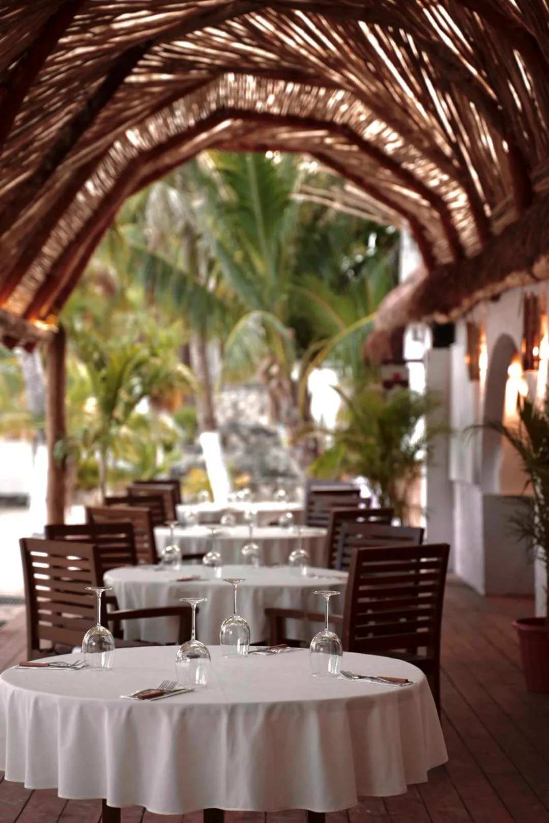 Restaurant/places to eat in Alito Tulum Hotel