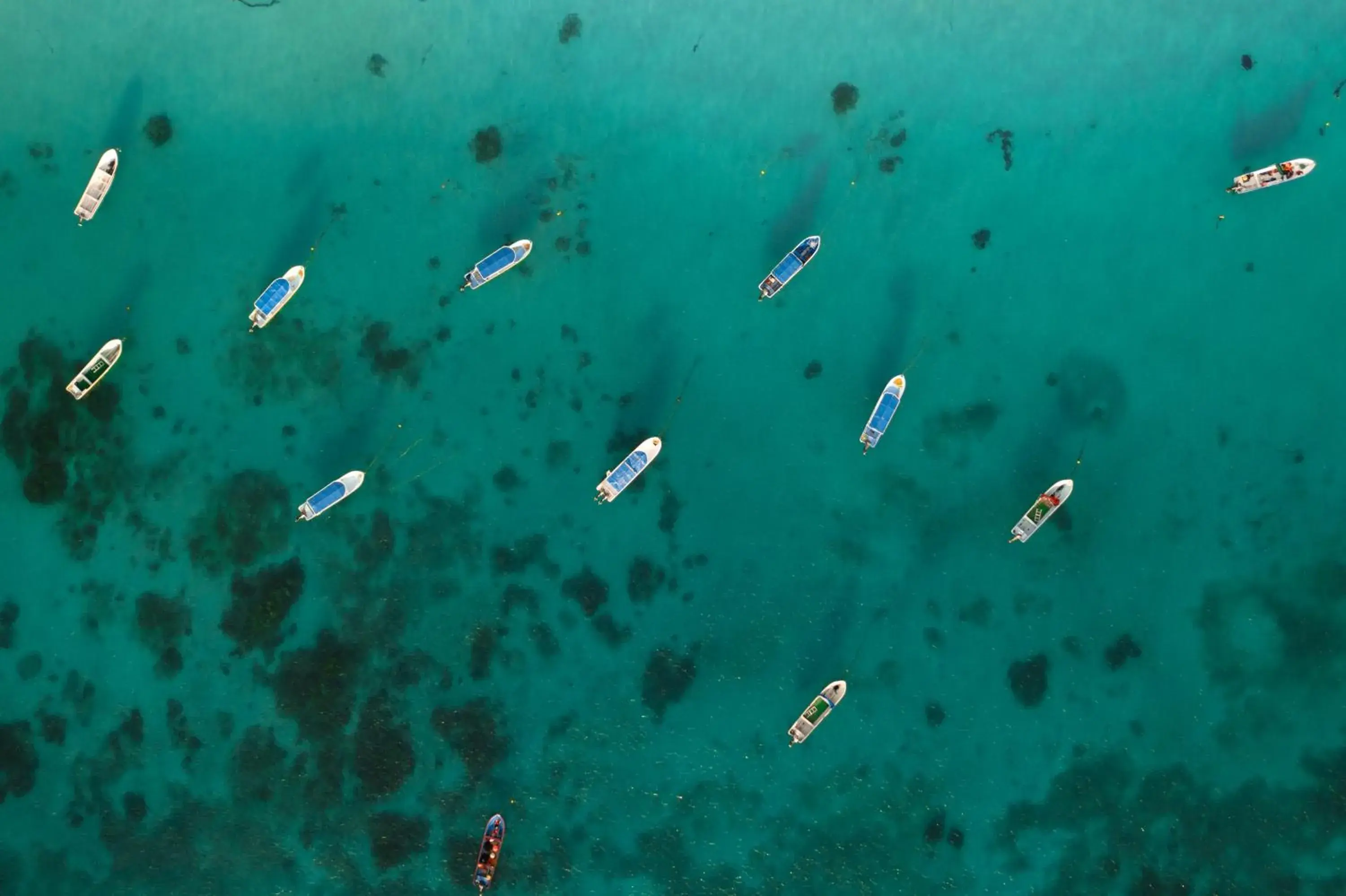 Bird's eye view in Alito Tulum Hotel Bird's eye view in Alito Tulum Hotel