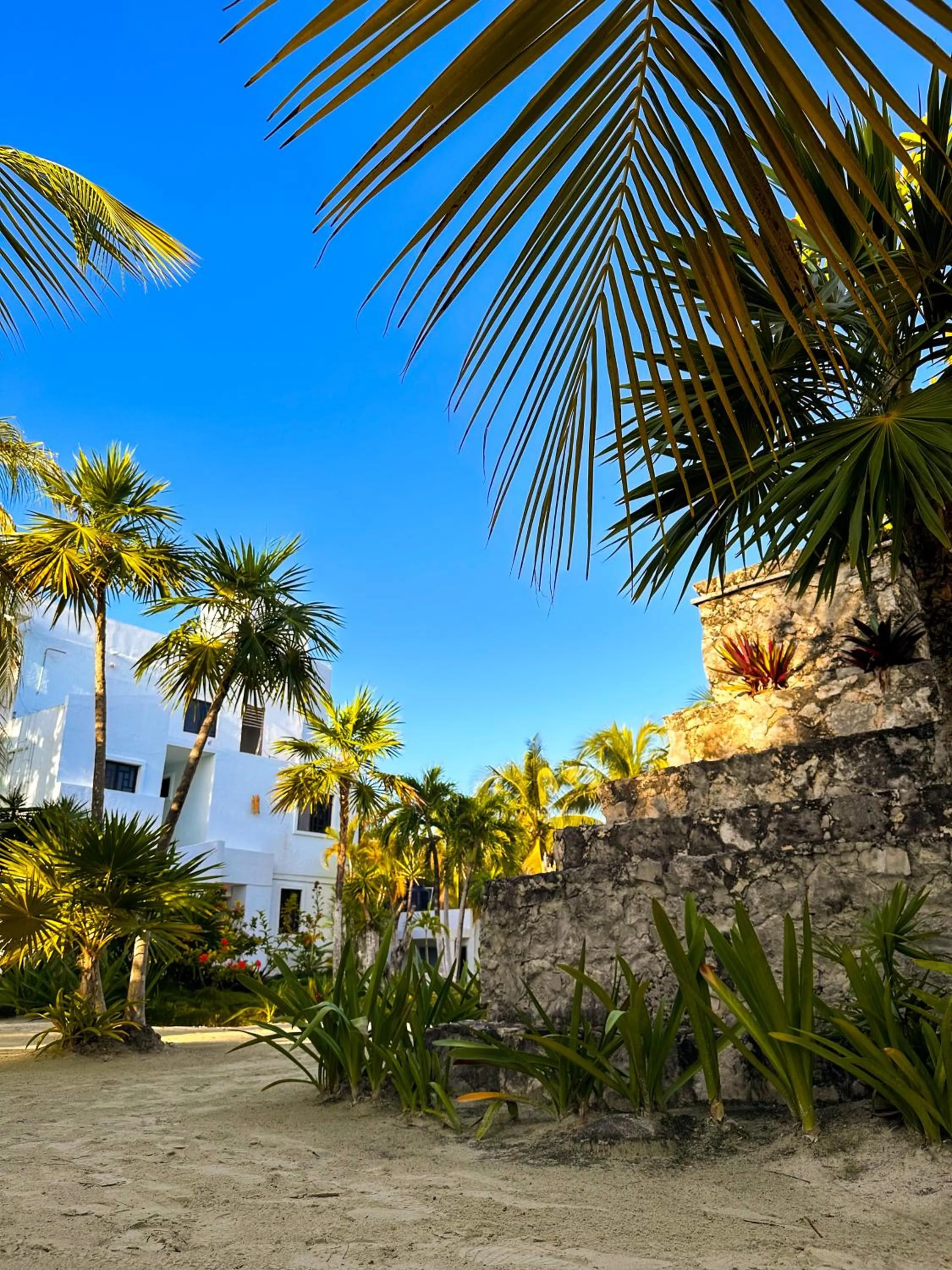 Off site in Alito Tulum Hotel