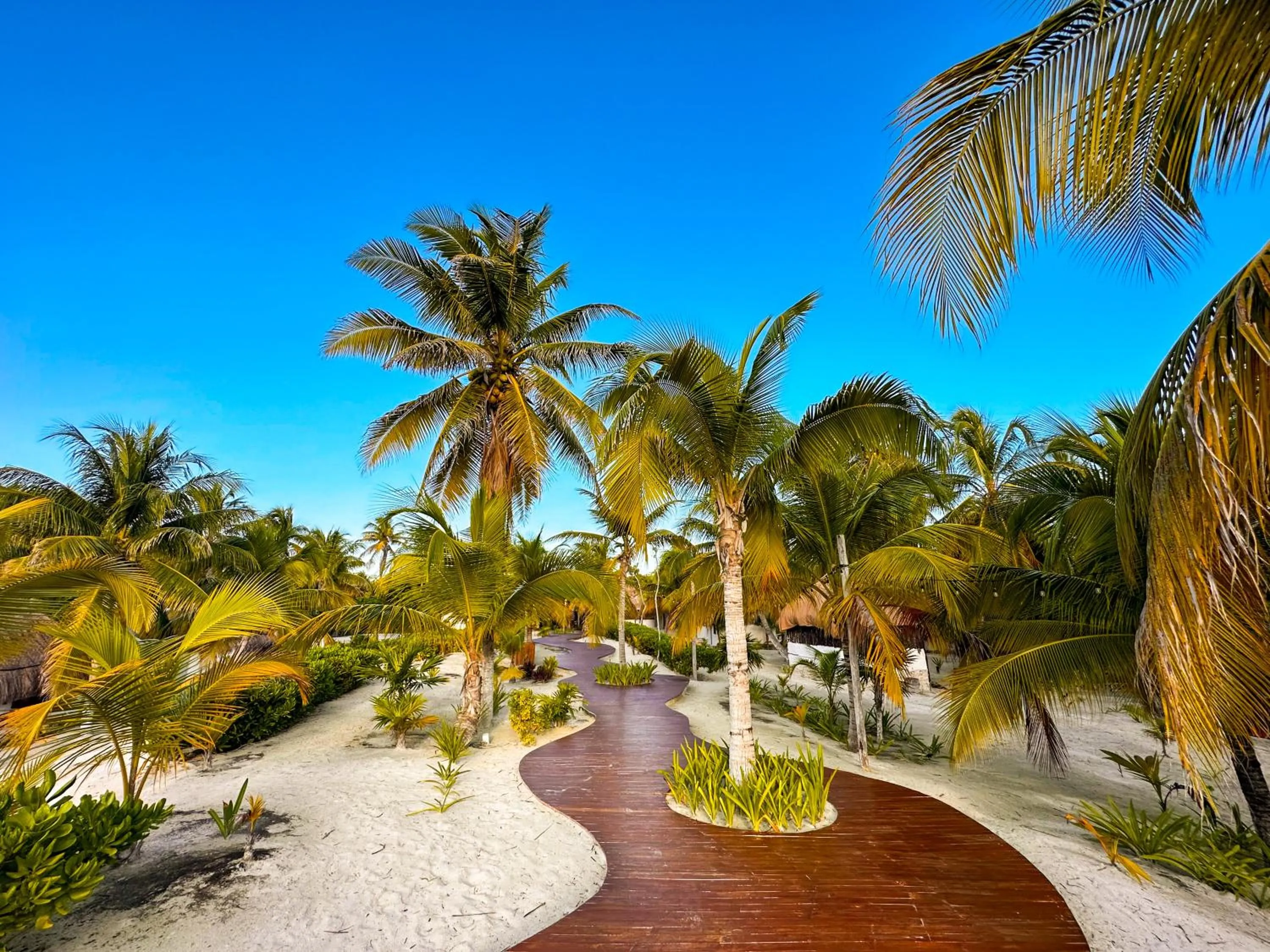 Off site in Alito Tulum Hotel