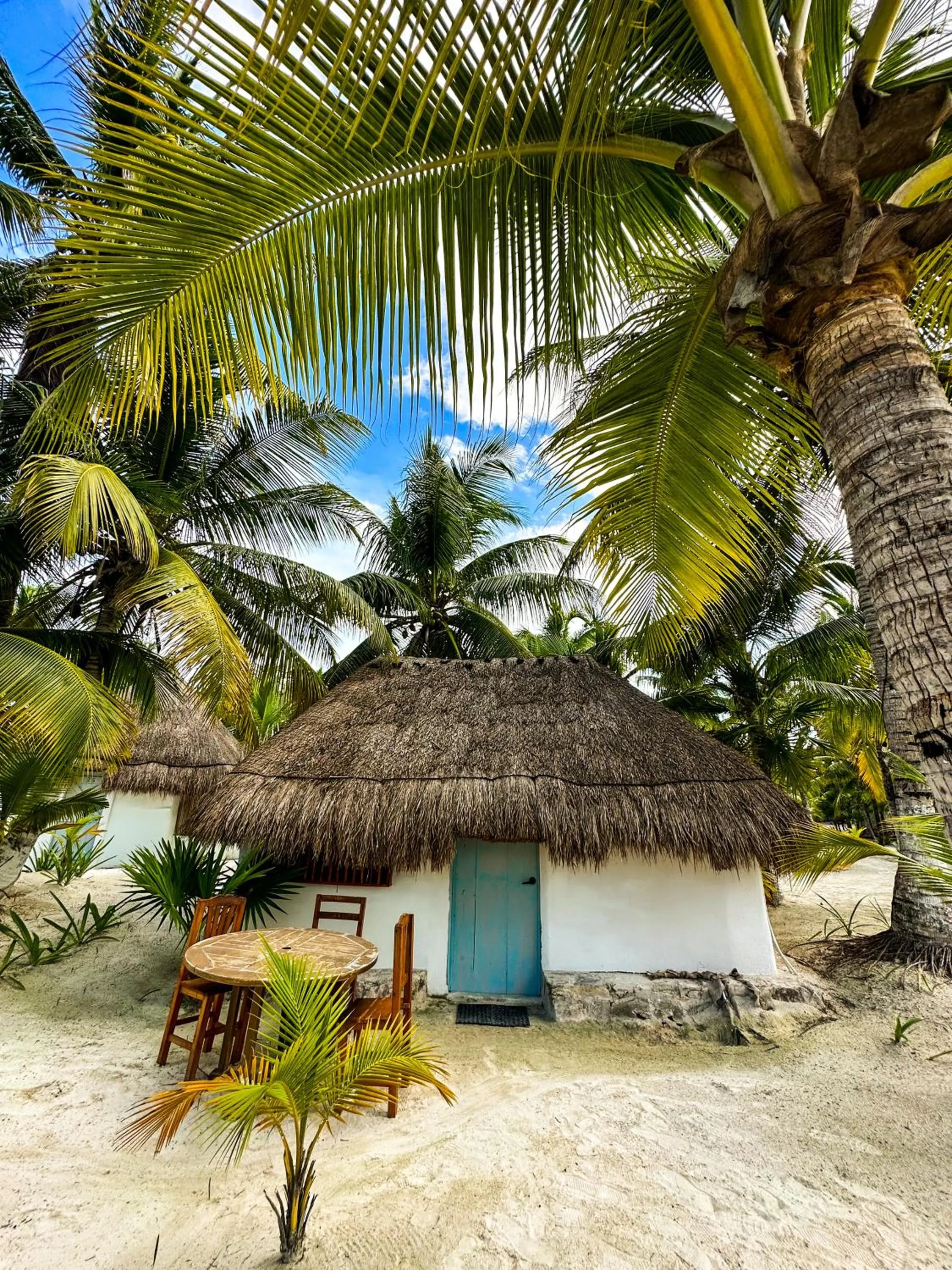 Off site in Alito Tulum Hotel