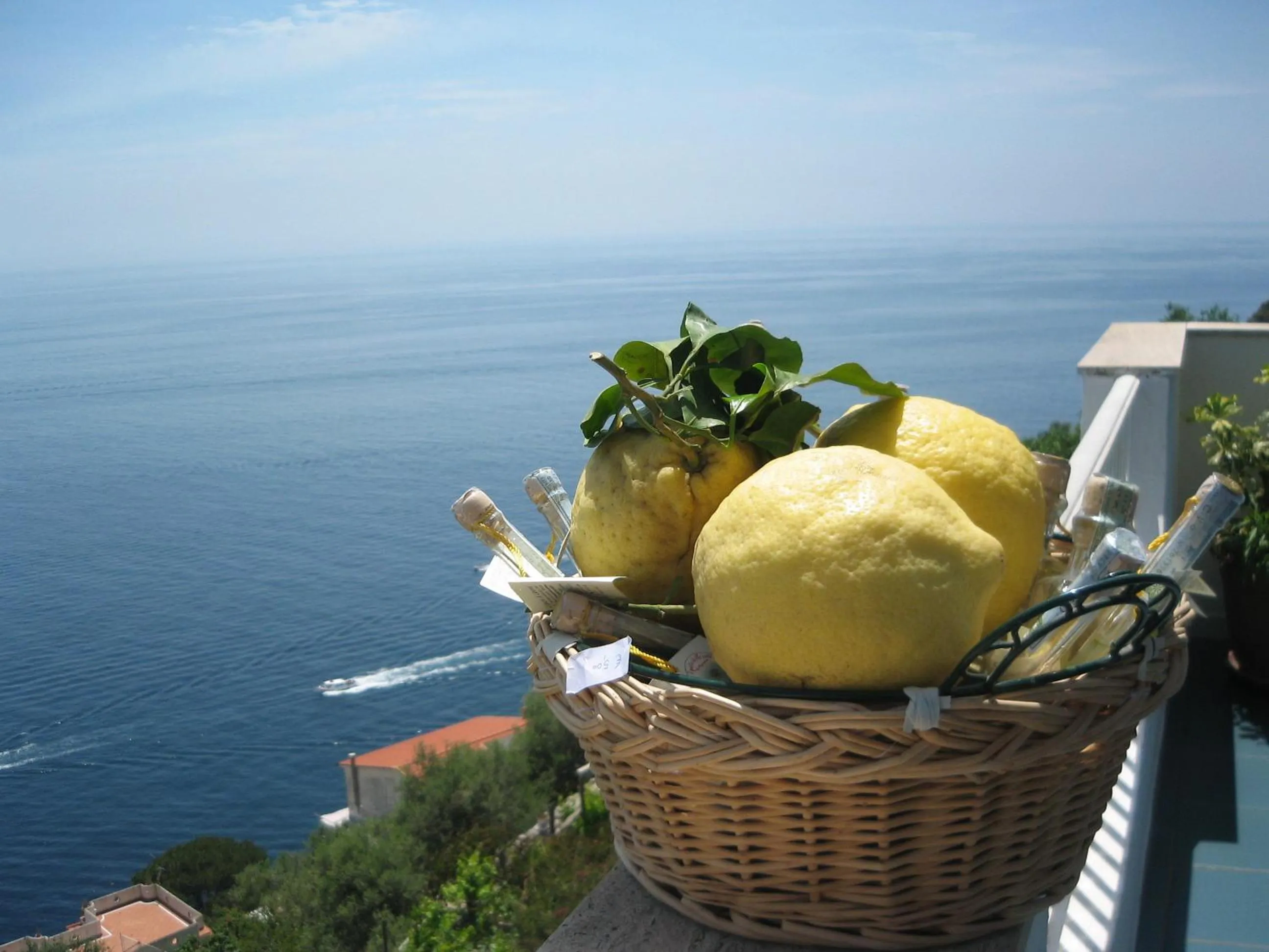 View (from property/room) in Hotel Holiday