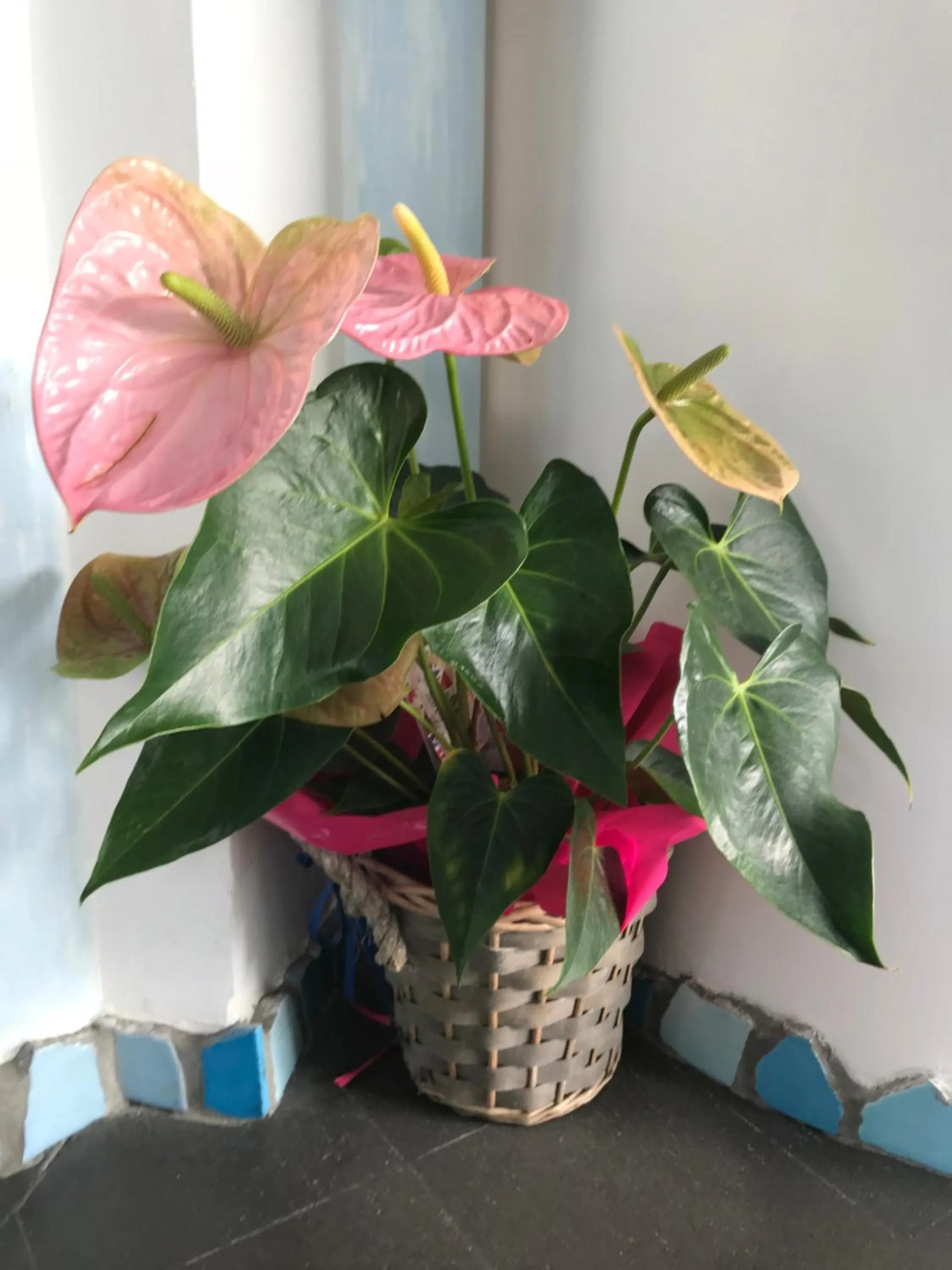 Decorative detail in Hotel Holiday