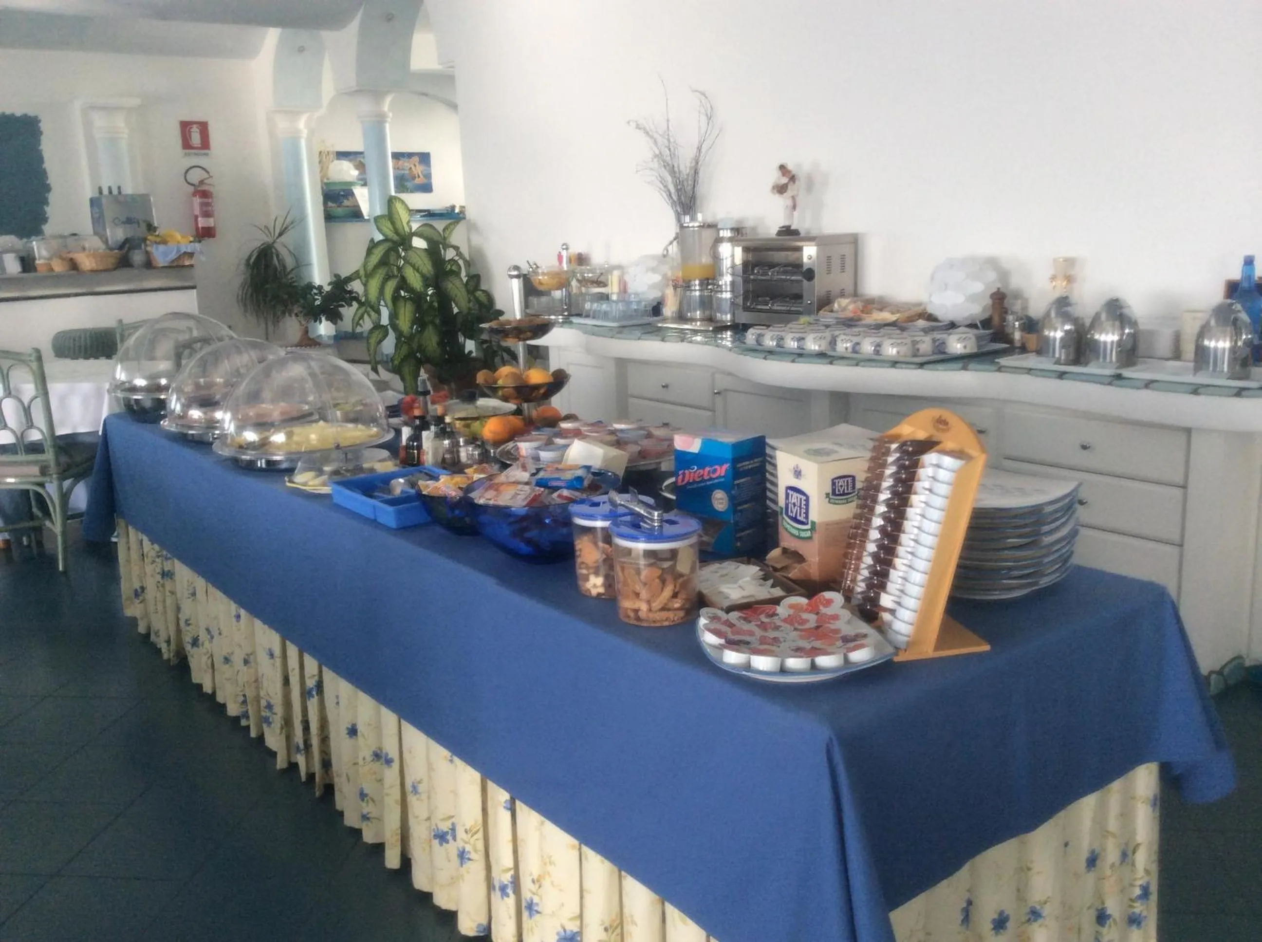 Food in Hotel Holiday