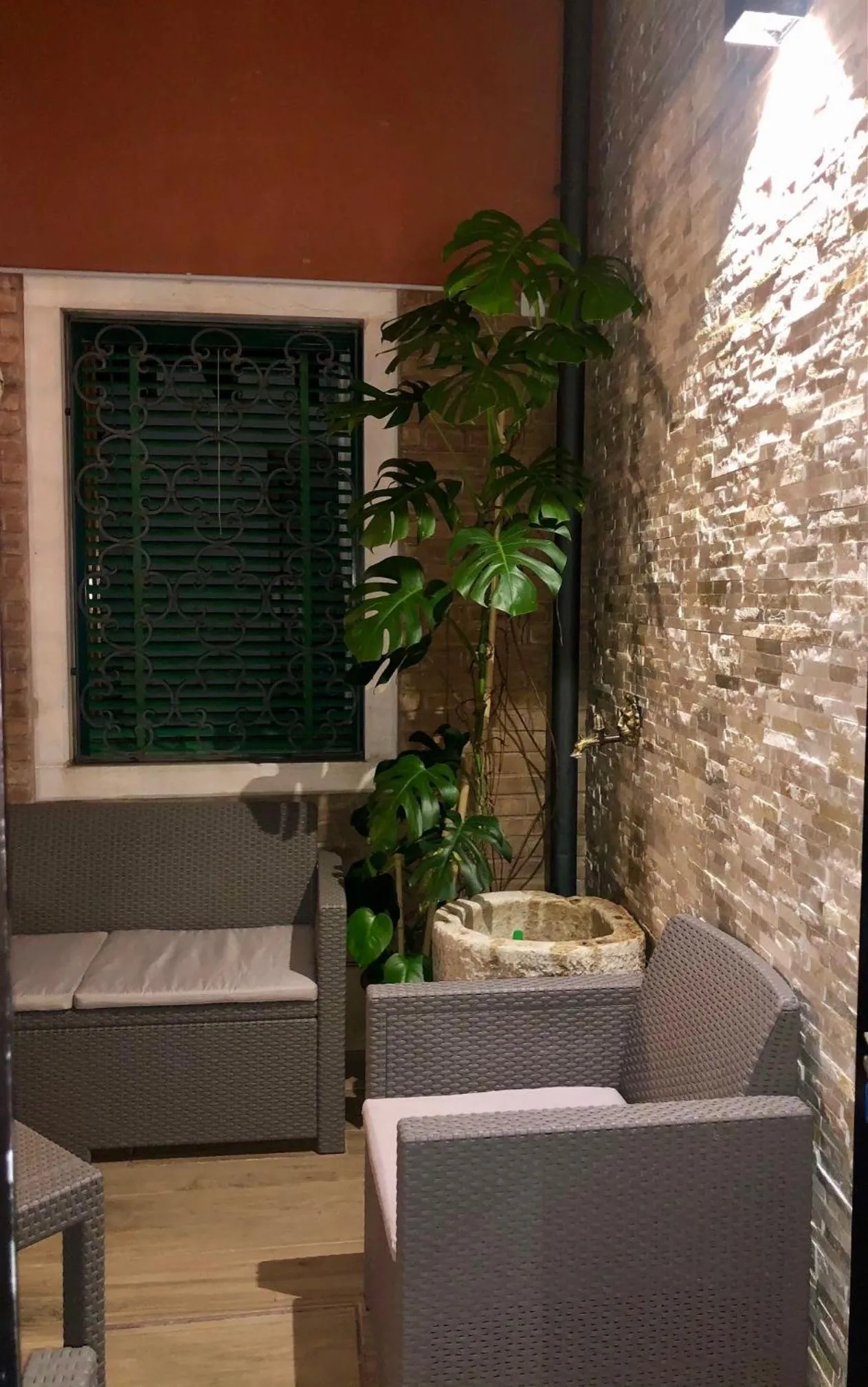 Area and facilities in Hotel Ariel Silva