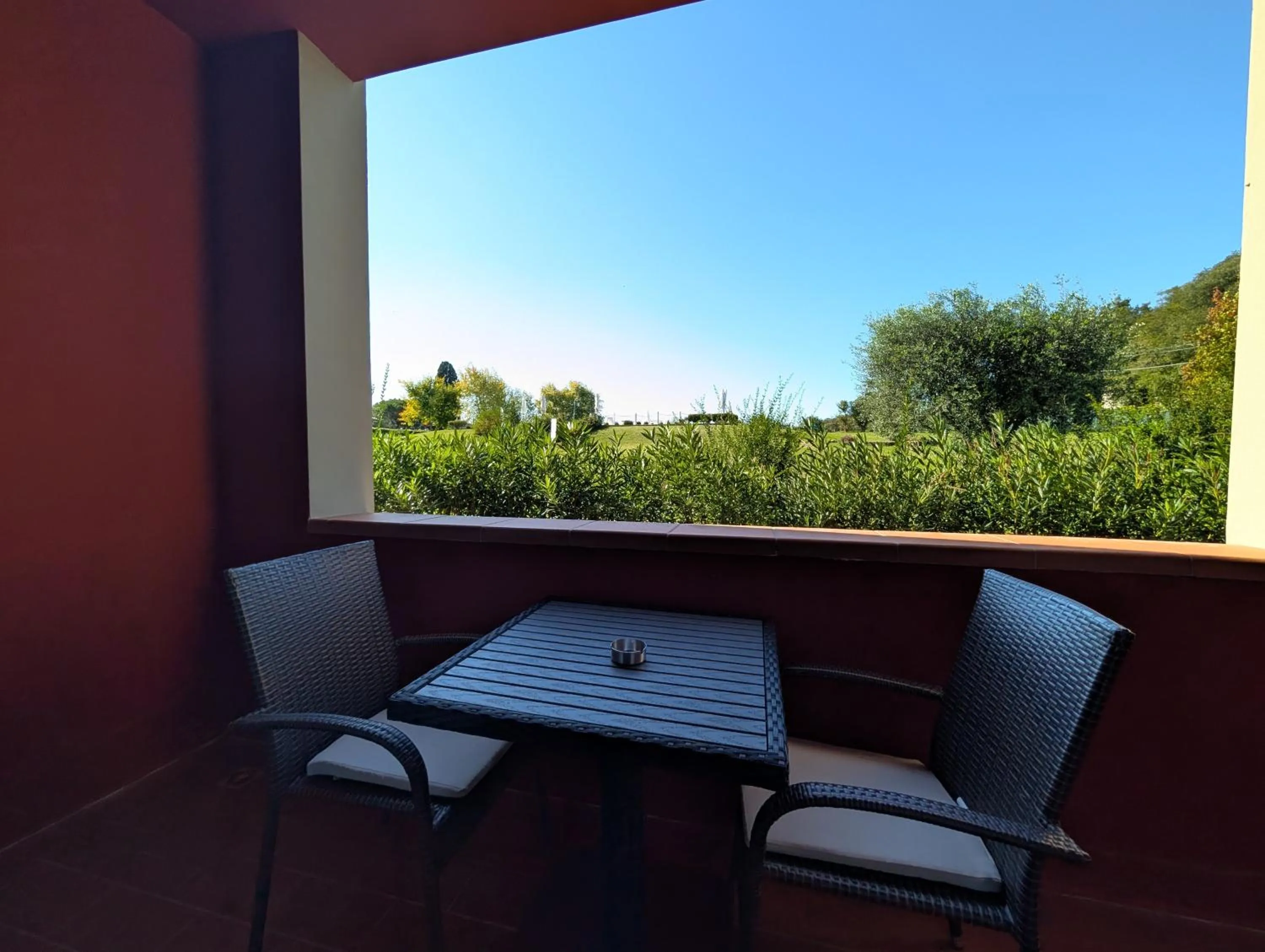 View (from property/room) in Hotel Carignano