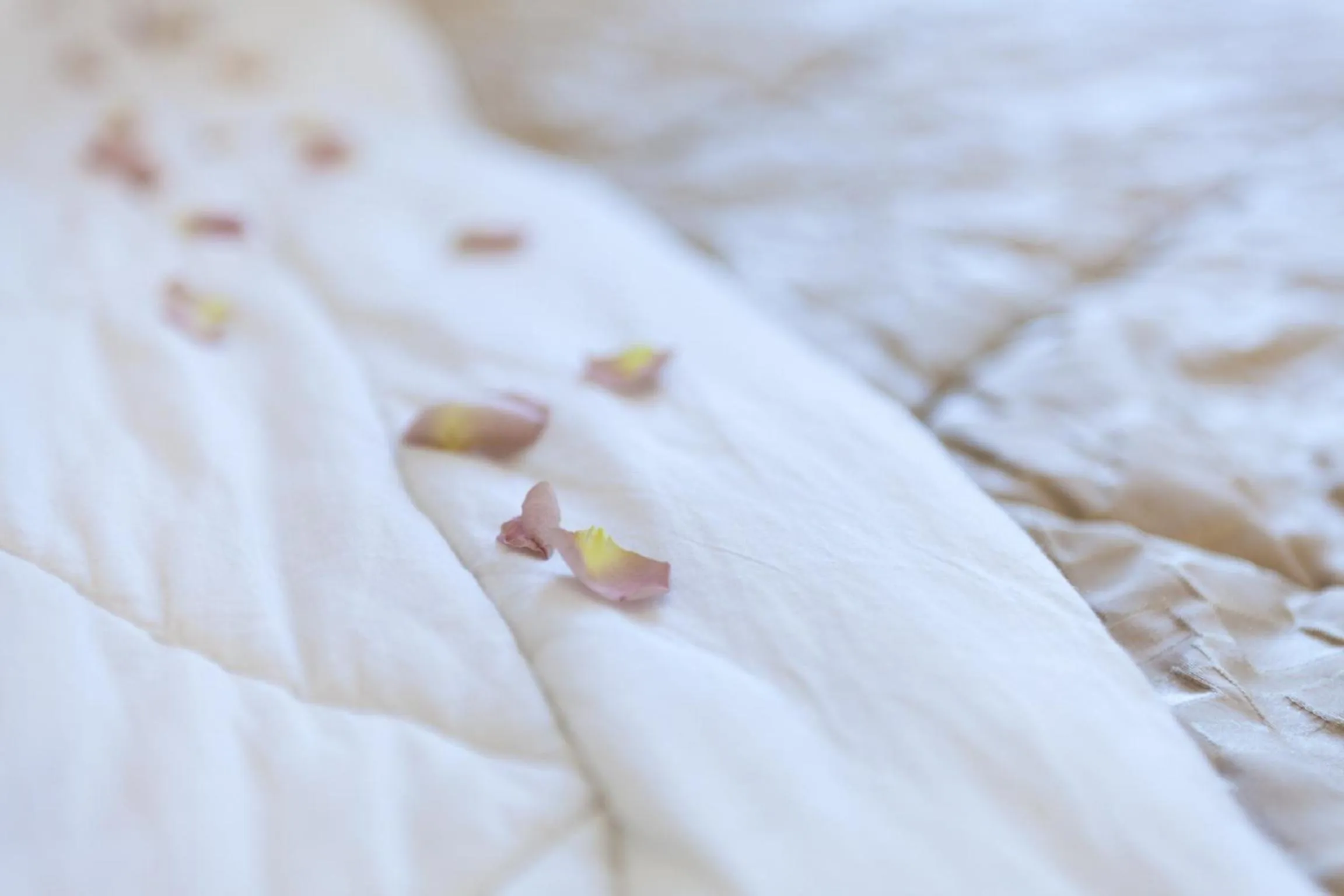 Restaurant/places to eat in Palazzo dei Ciompi Suites