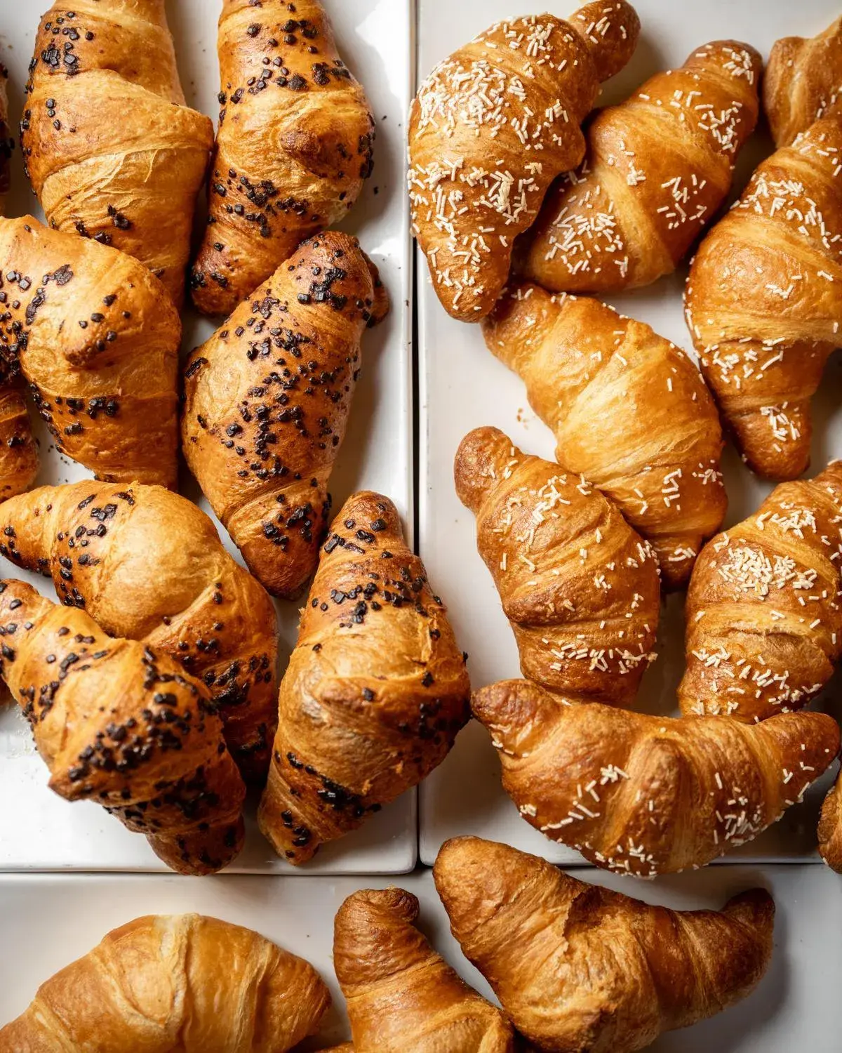 Breakfast in Palazzo dei Ciompi Suites Breakfast in Palazzo dei Ciompi Suites