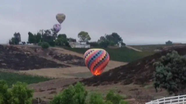 Activities in Sommer Hus-Best value in Southern California Wine Country