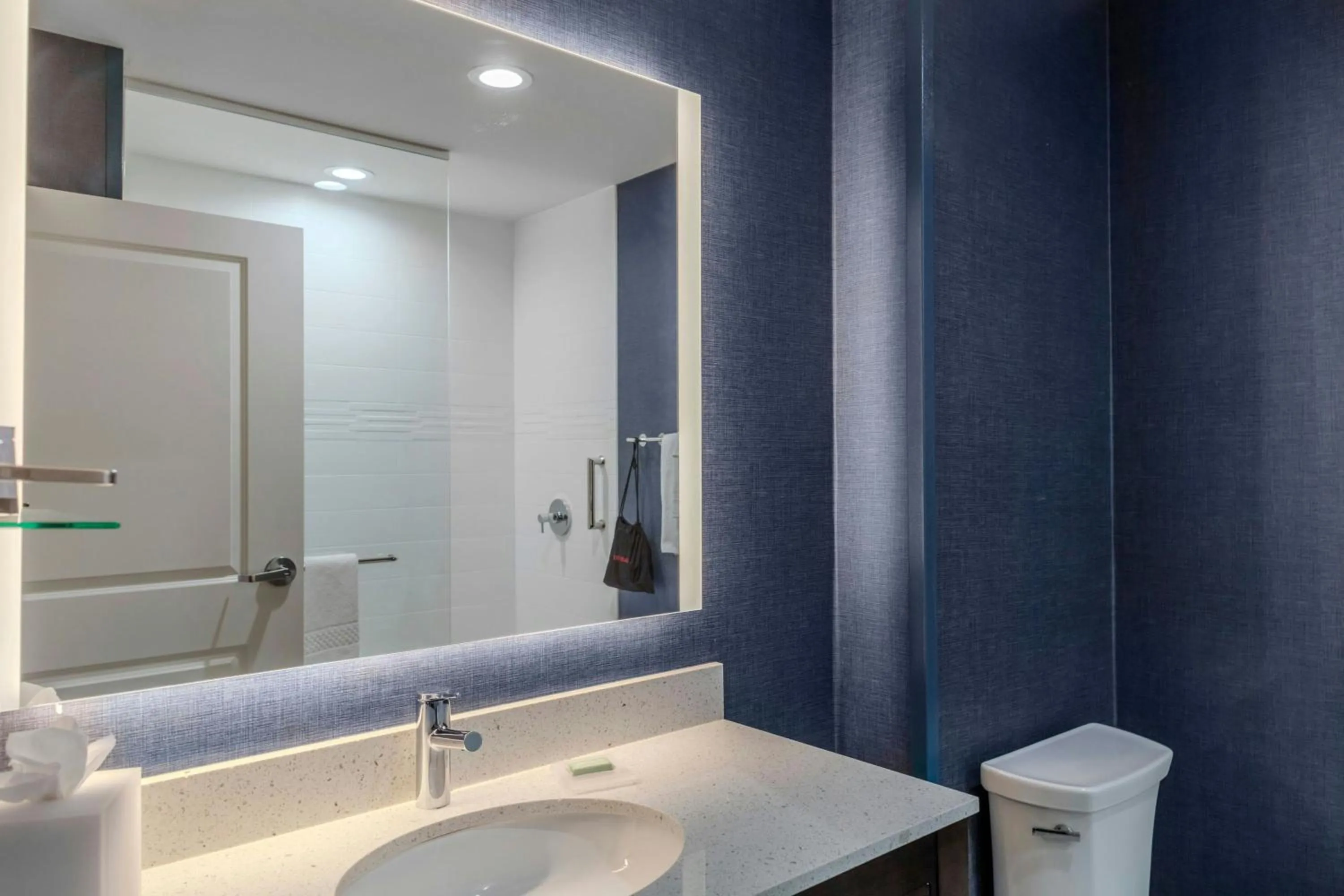 Bathroom in Residence Inn by Marriott Detroit Sterling Heights