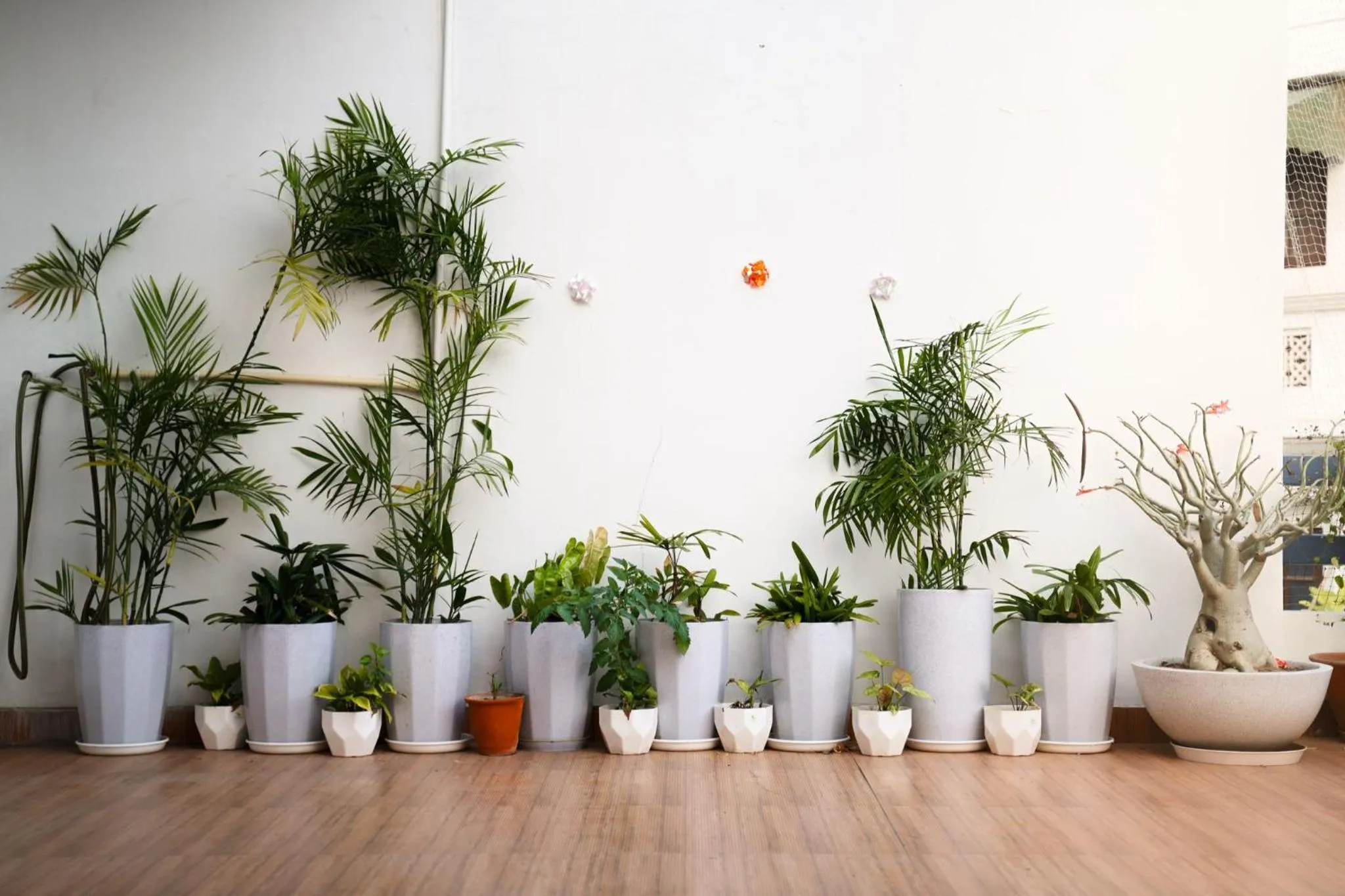 Patio in Girisadan - A City Centre Boutique Hotel