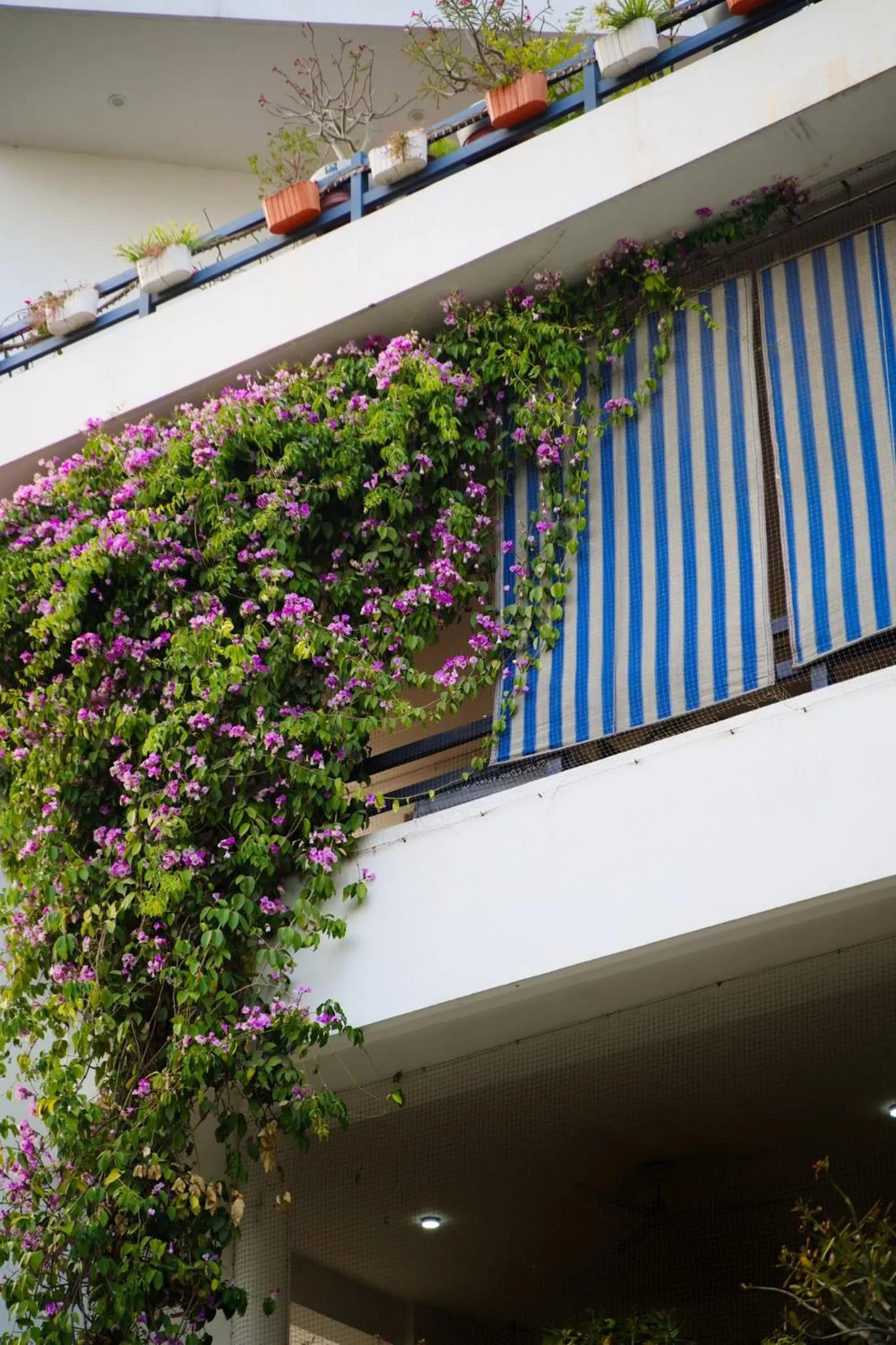 Property building in Girisadan - A City Centre Boutique Hotel