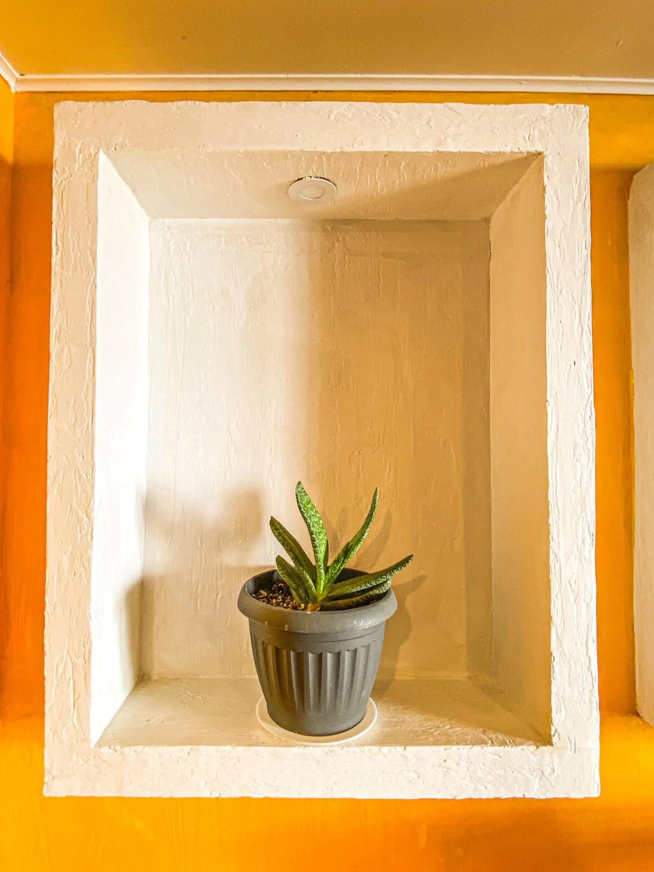 Decorative detail in Hotel Londres La Serena