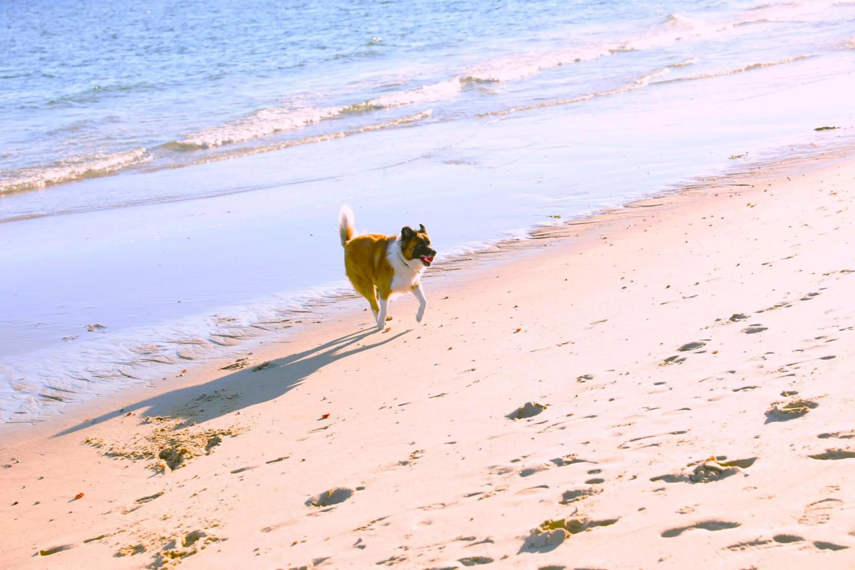 Beach in Seashell Motel