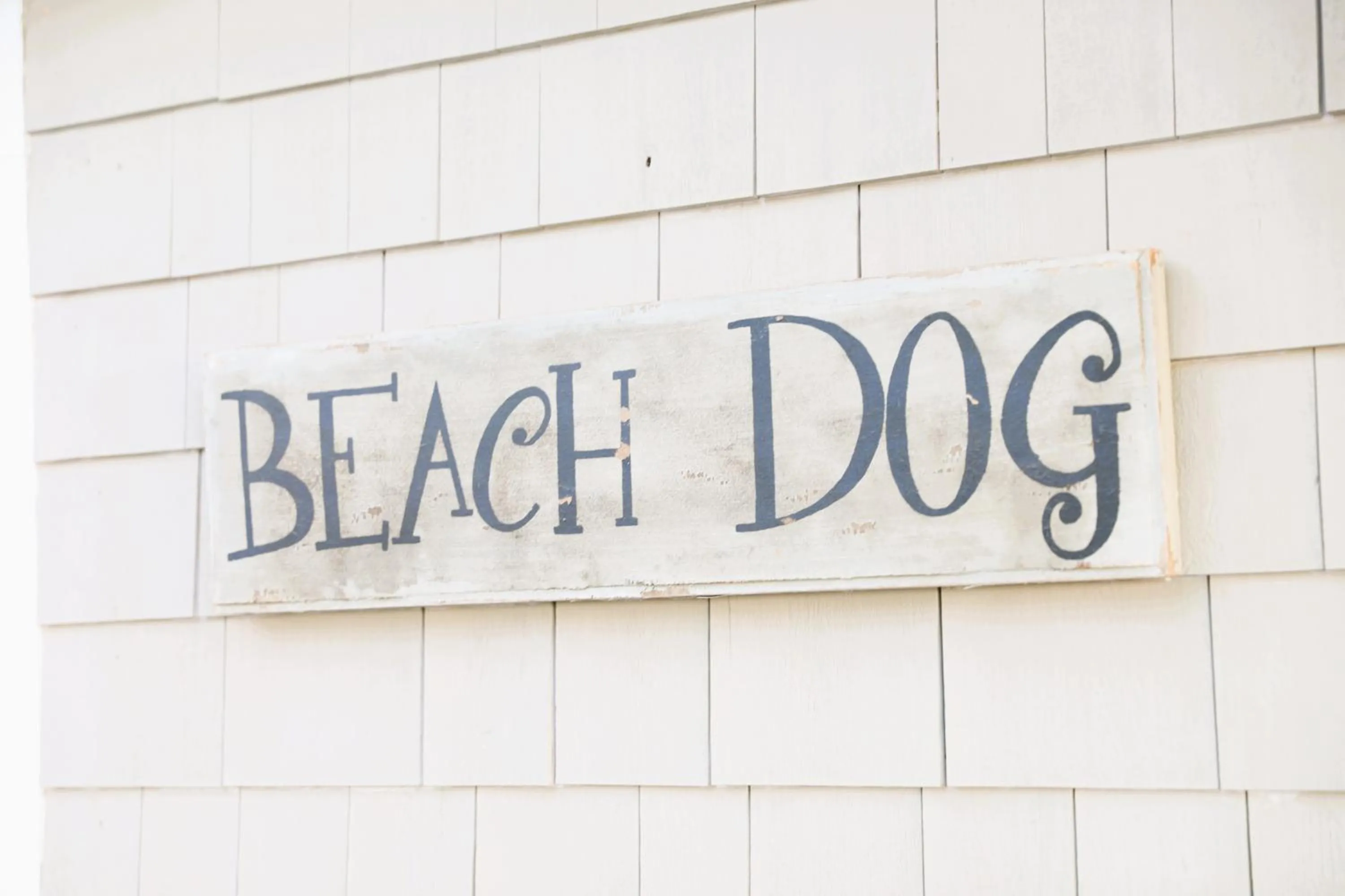 Logo/Certificate/Sign in Seashell Motel