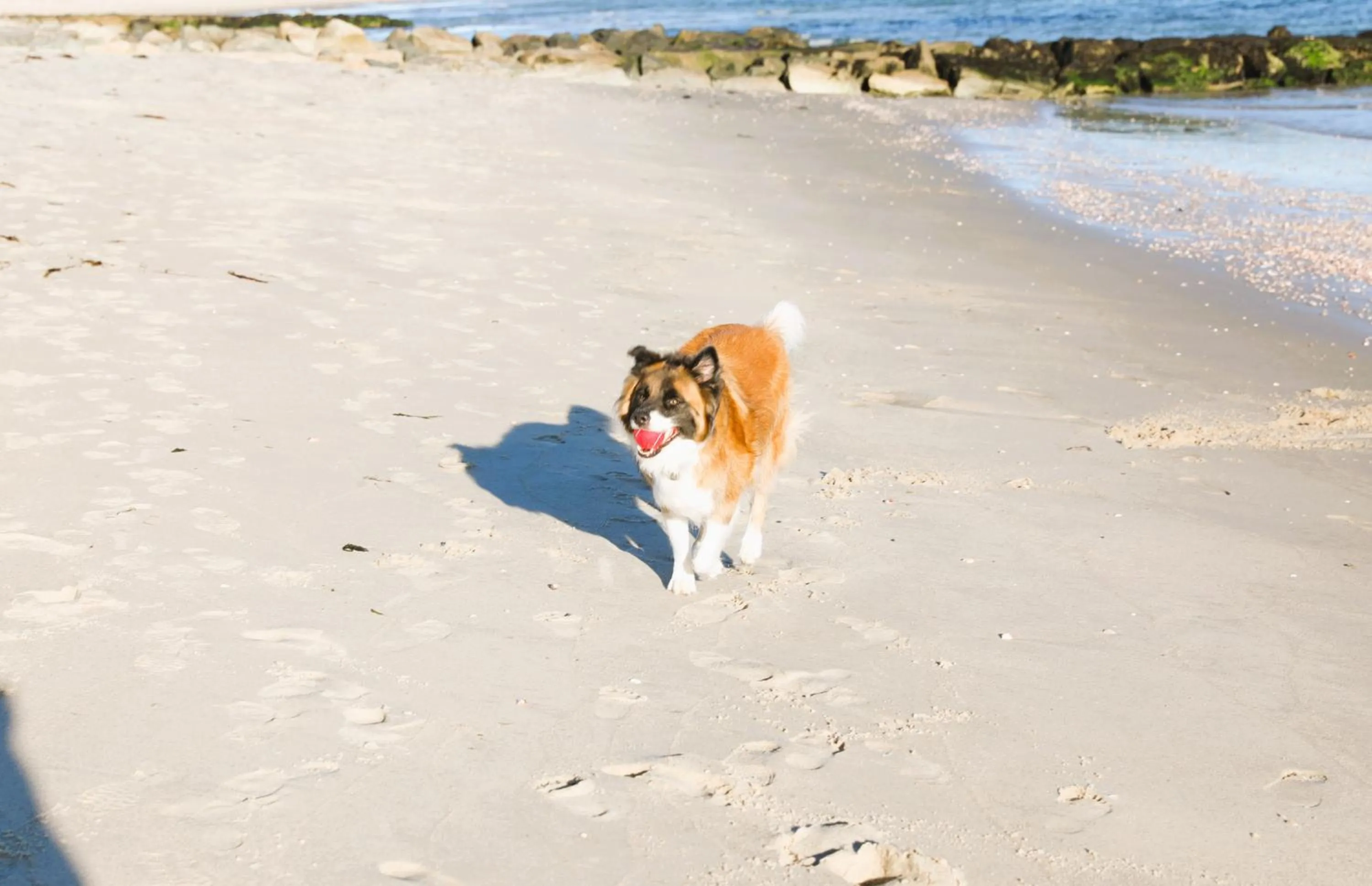 Beach in Seashell Motel
