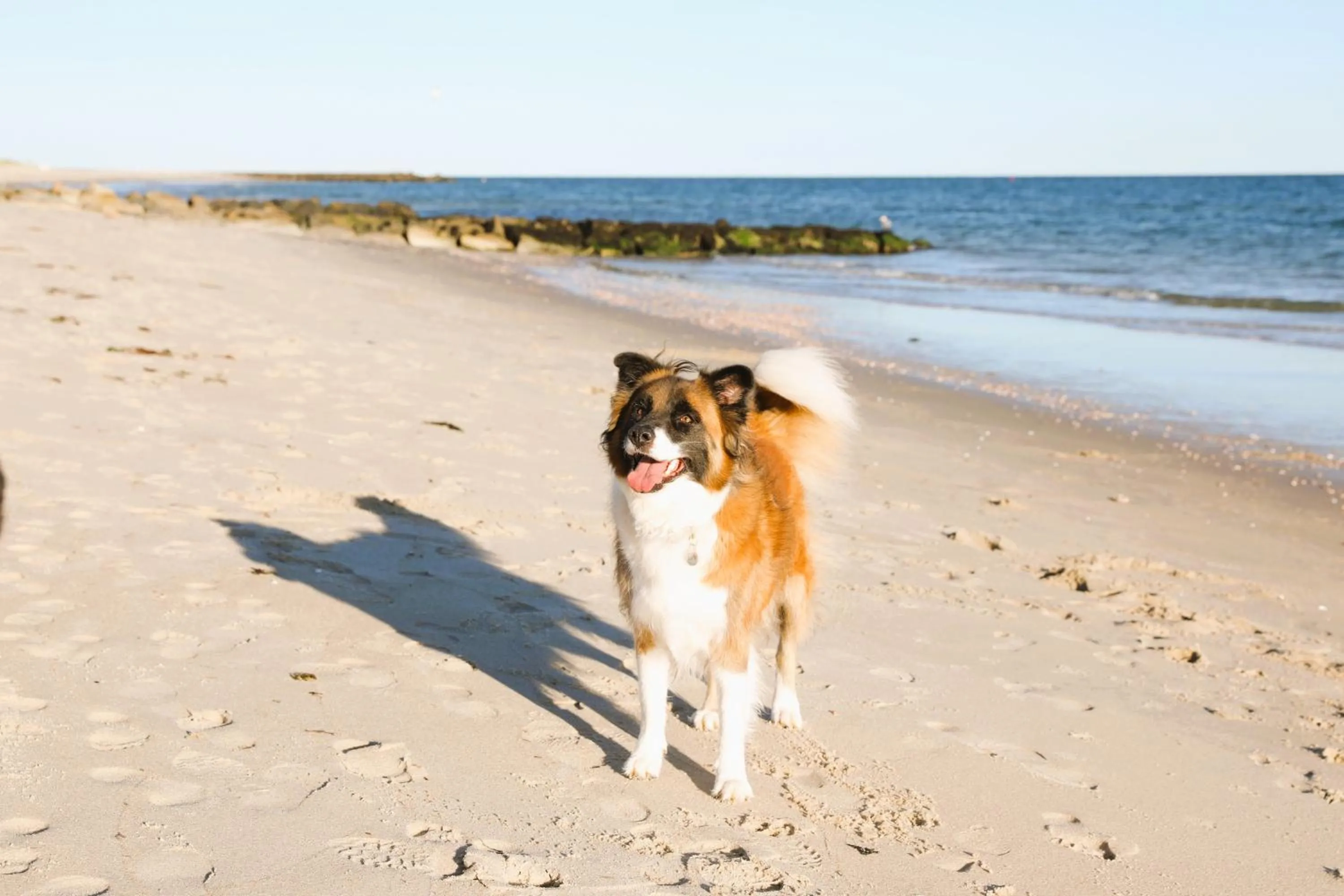Beach in Seashell Motel