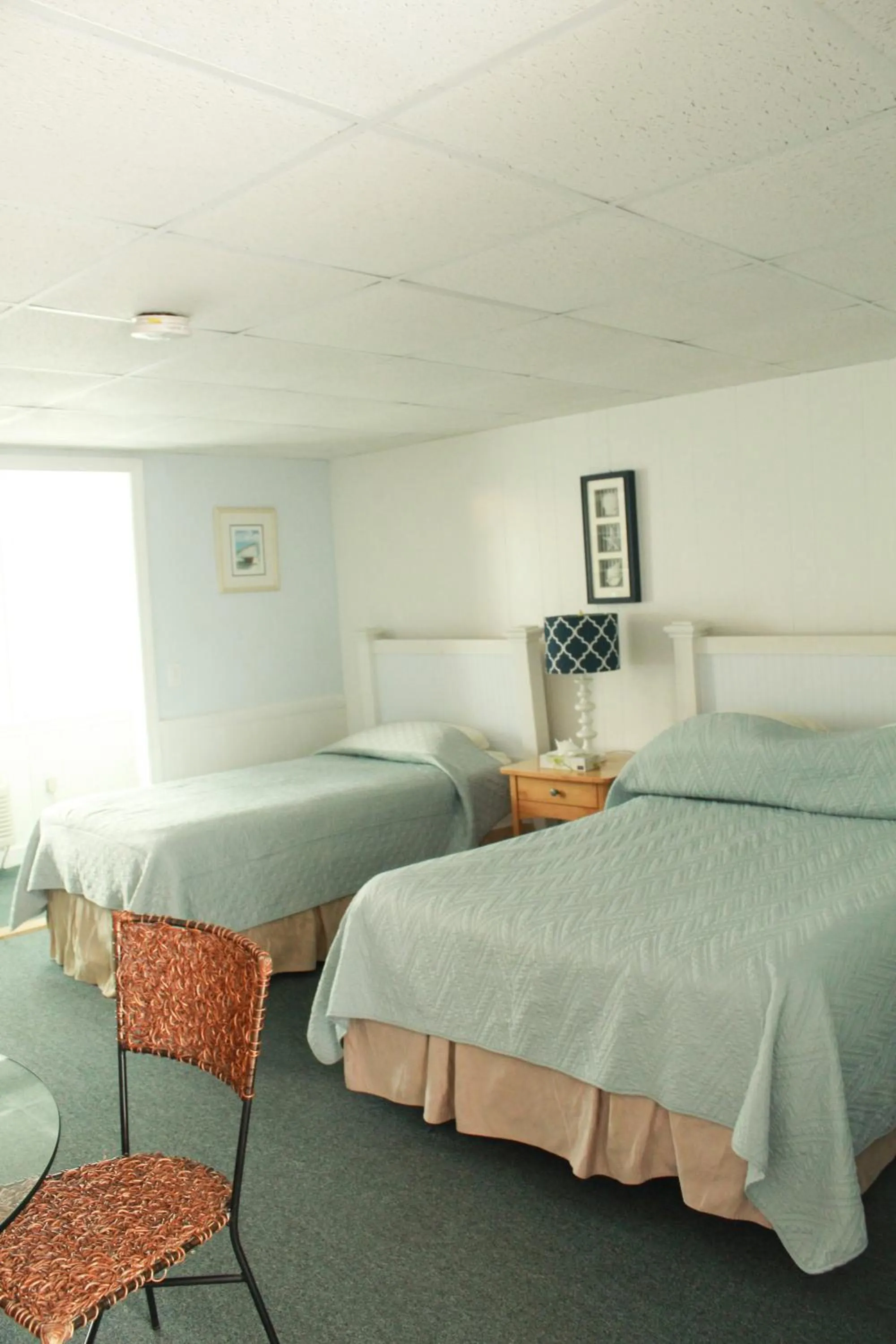 Bed in Seashell Motel