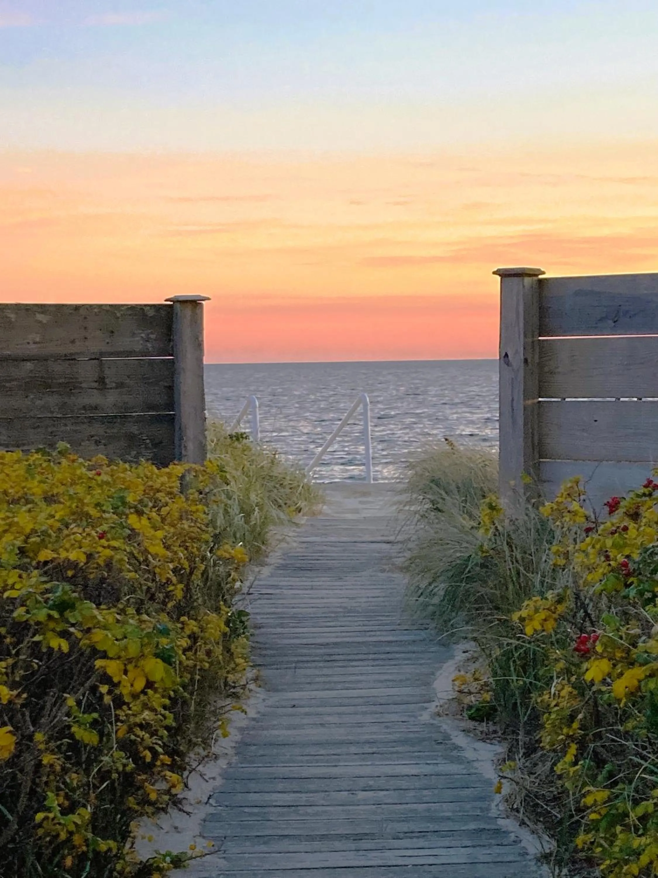 Natural landscape in Seashell Motel