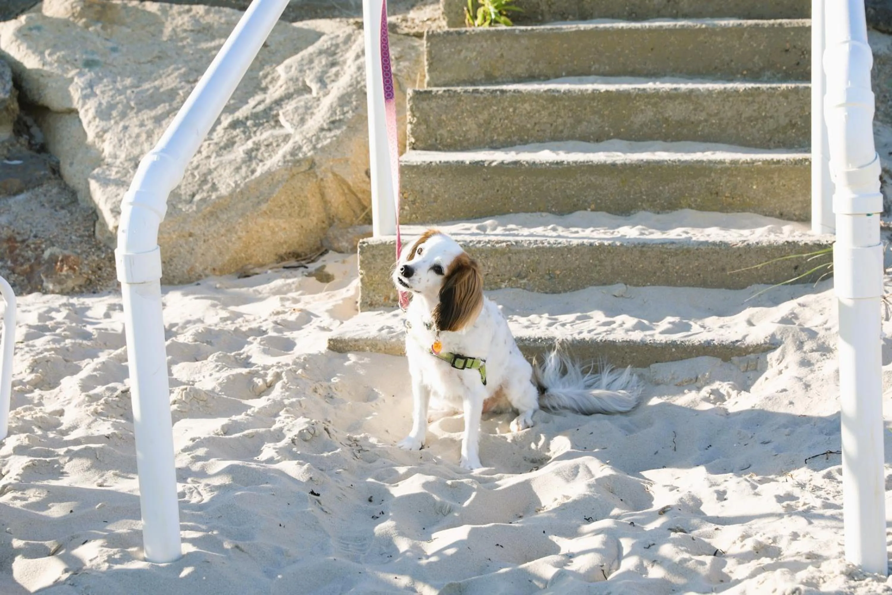 Beach in Seashell Motel