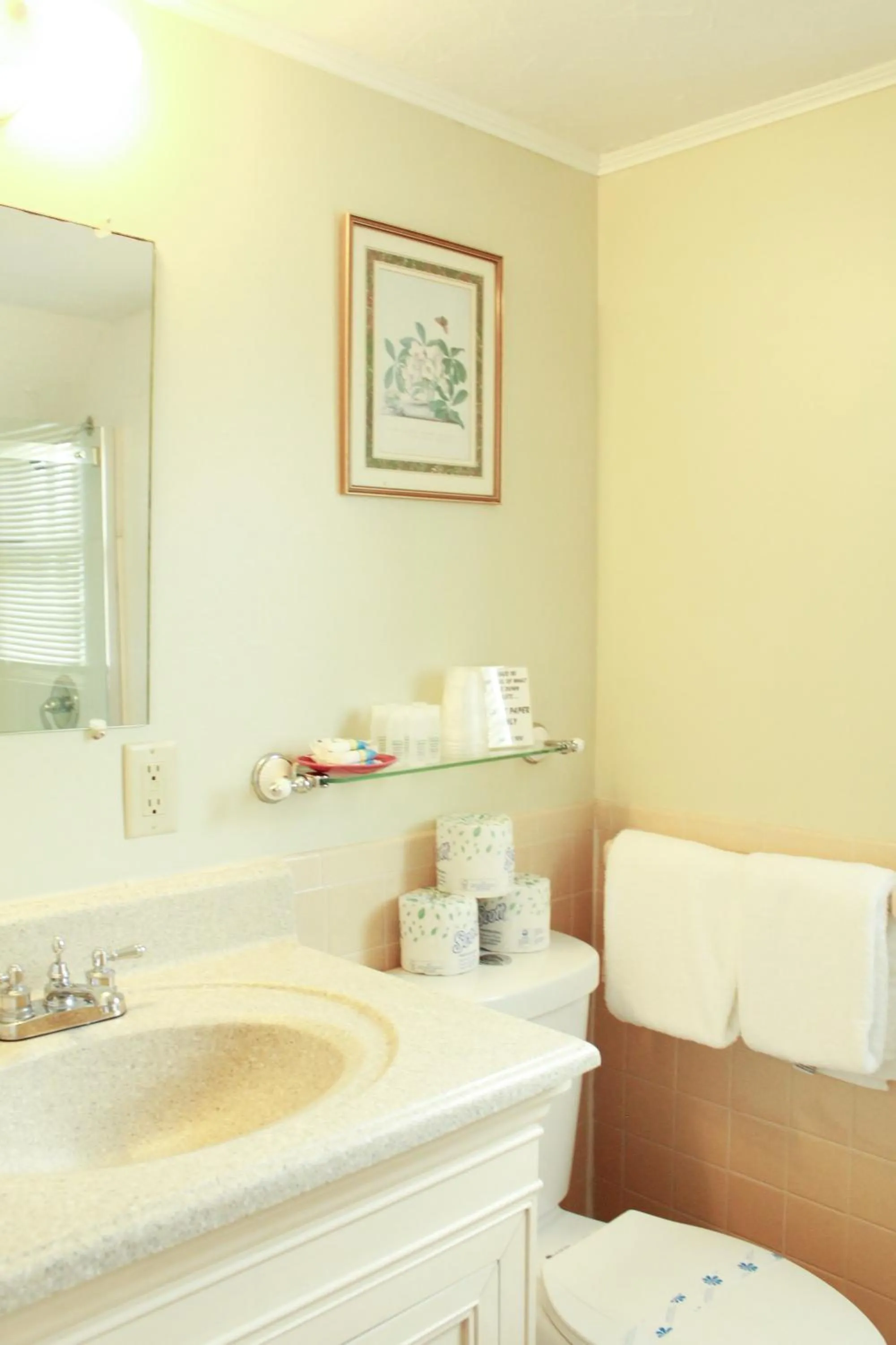 Shower in Seashell Motel