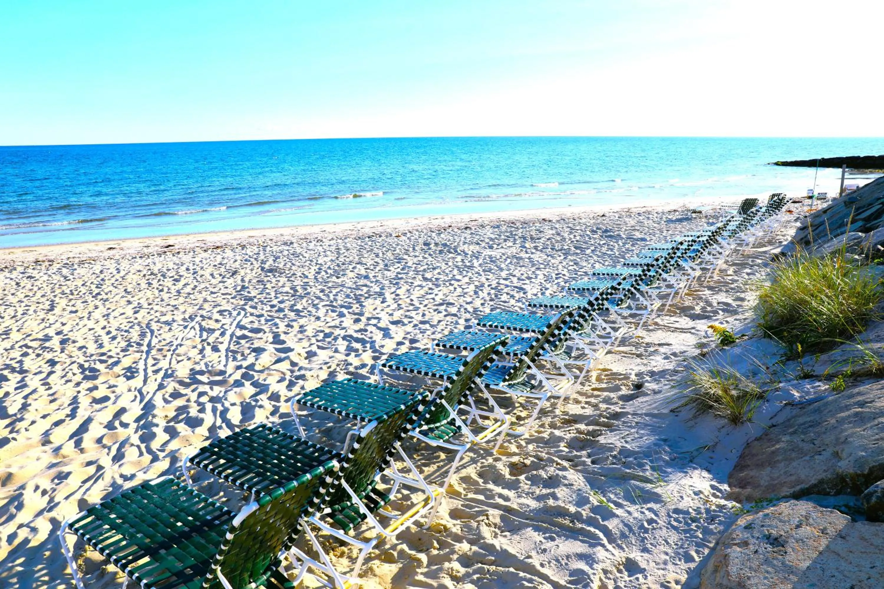 Natural landscape in Seashell Motel