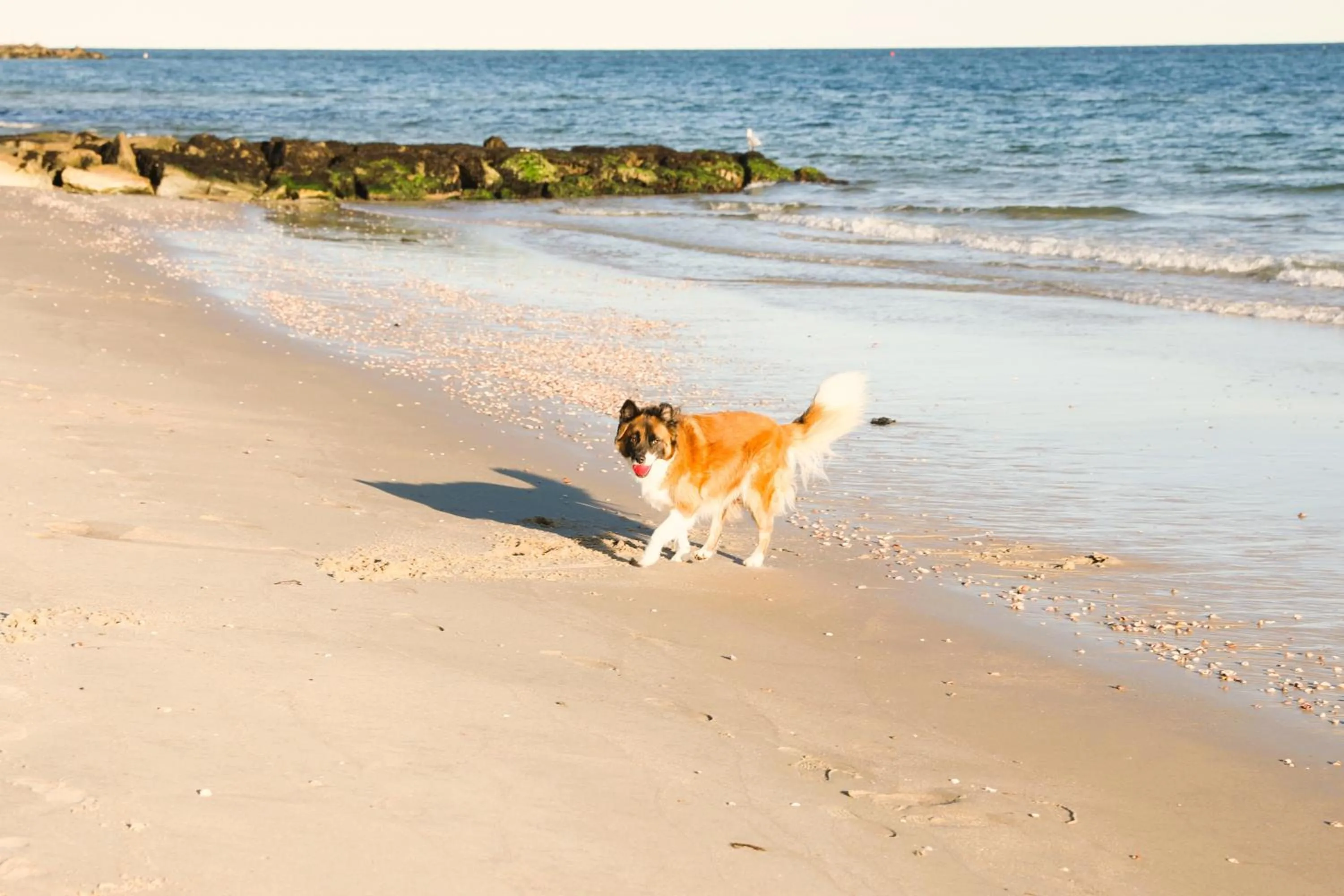 Beach in Seashell Motel