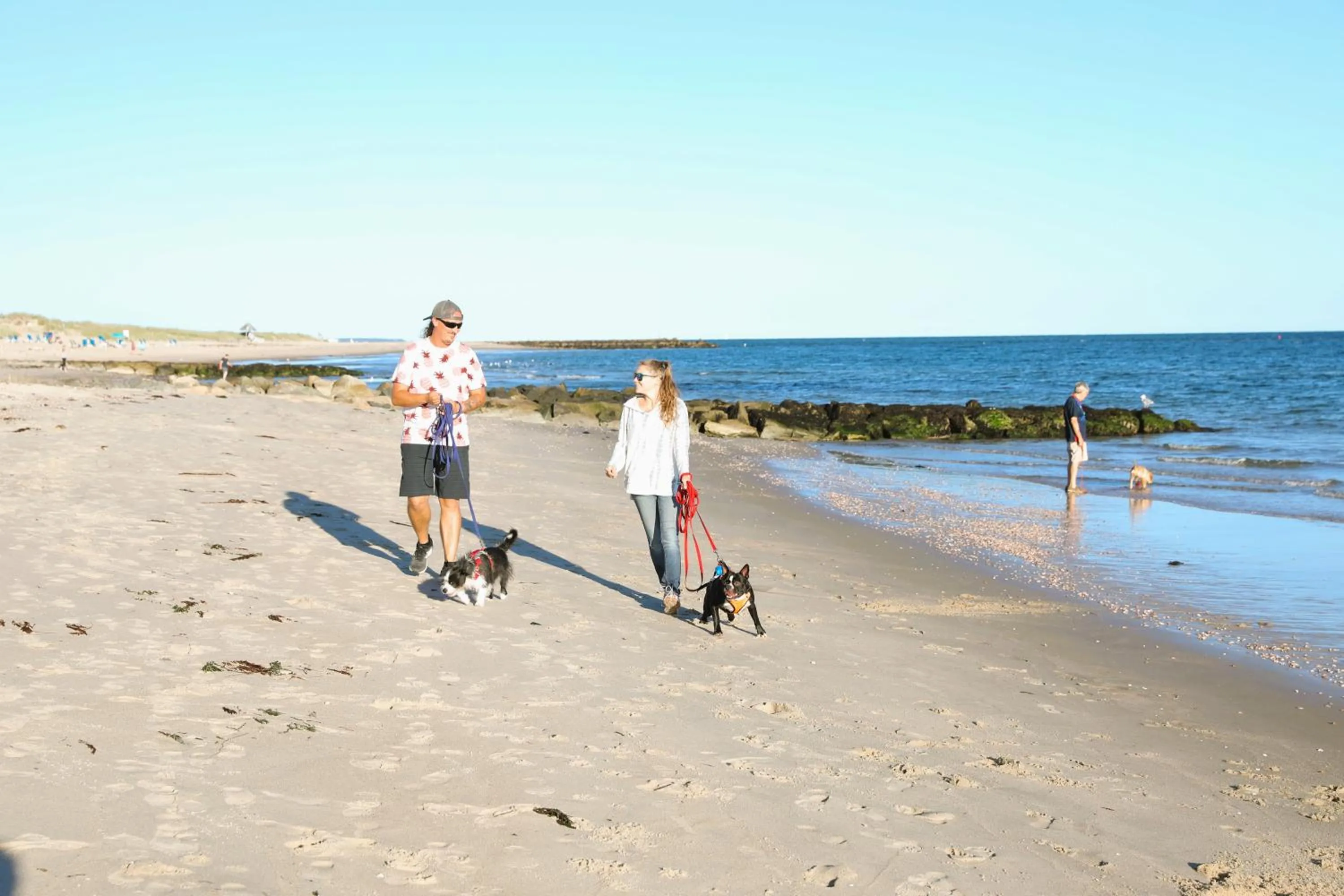 Beach in Seashell Motel