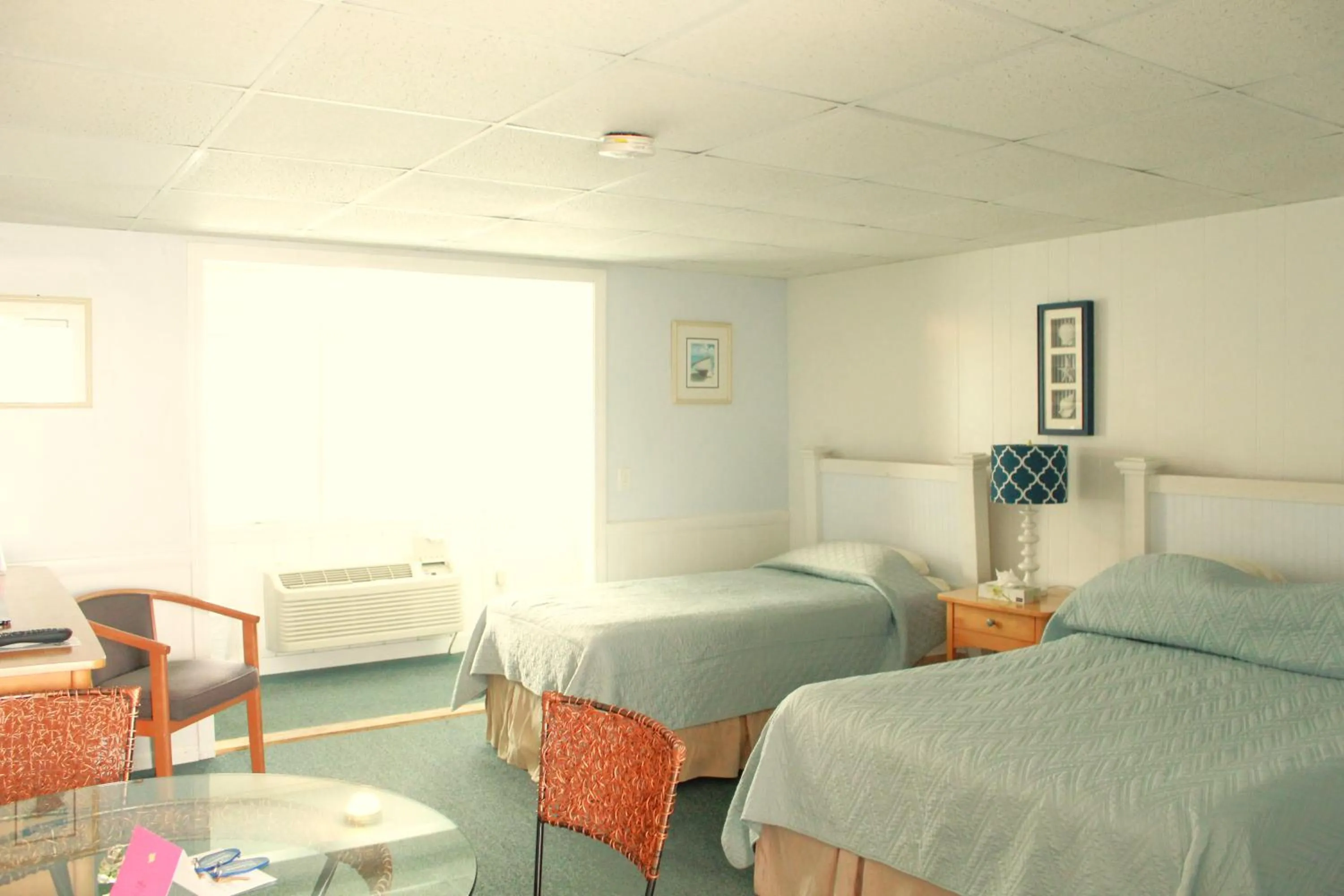 Bed in Seashell Motel