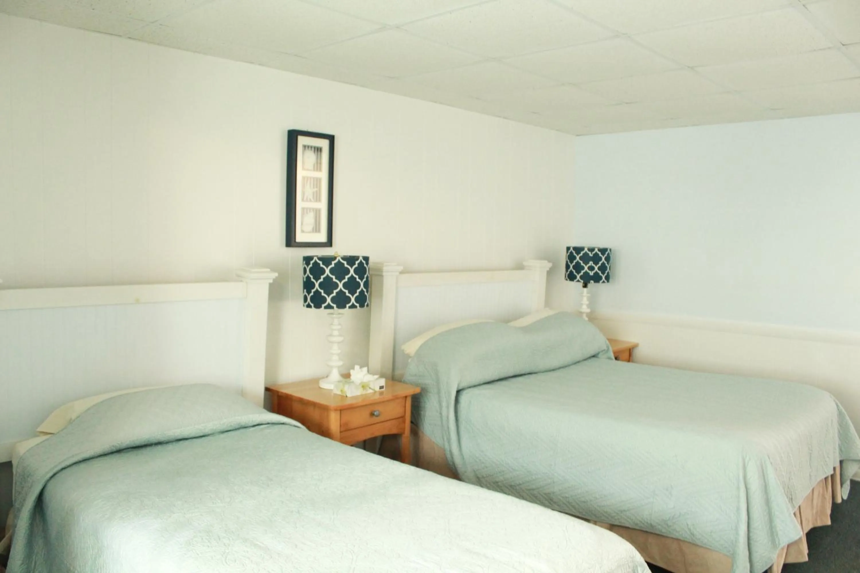 Bed in Seashell Motel