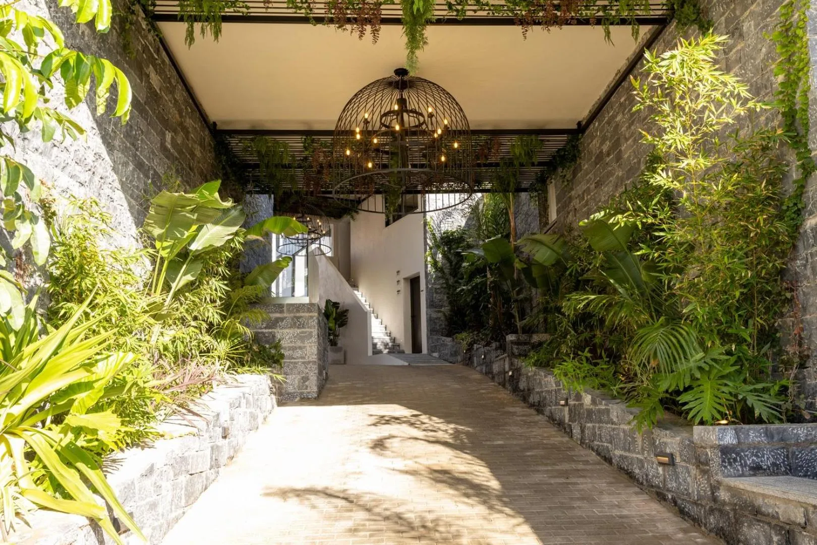 Garden in Lazar Lux Suites - Ammoudara