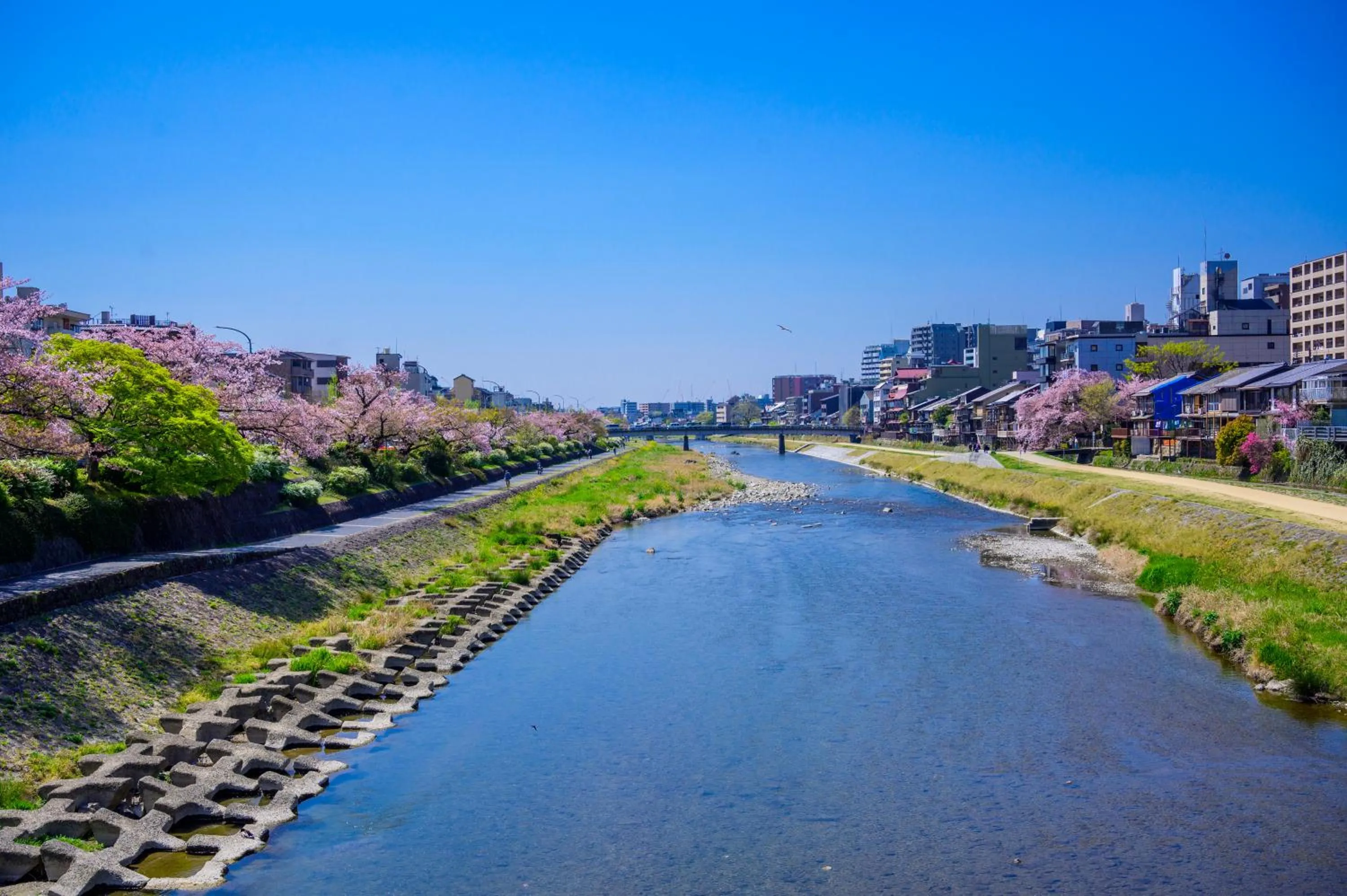 Nearby landmark in Sora Niwa Terrace Kyoto Bettei
