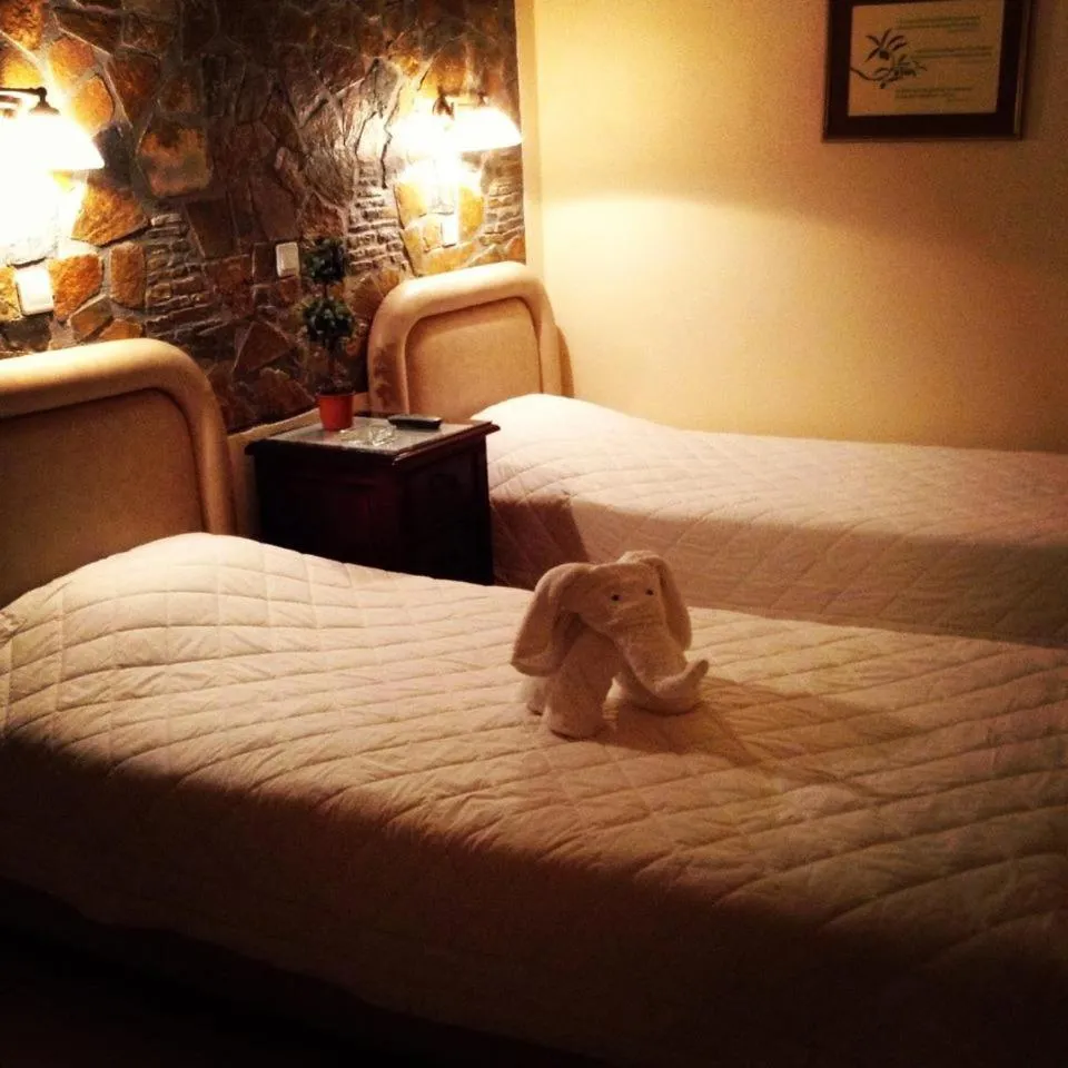 Photo of the whole room, Bed in Litsa